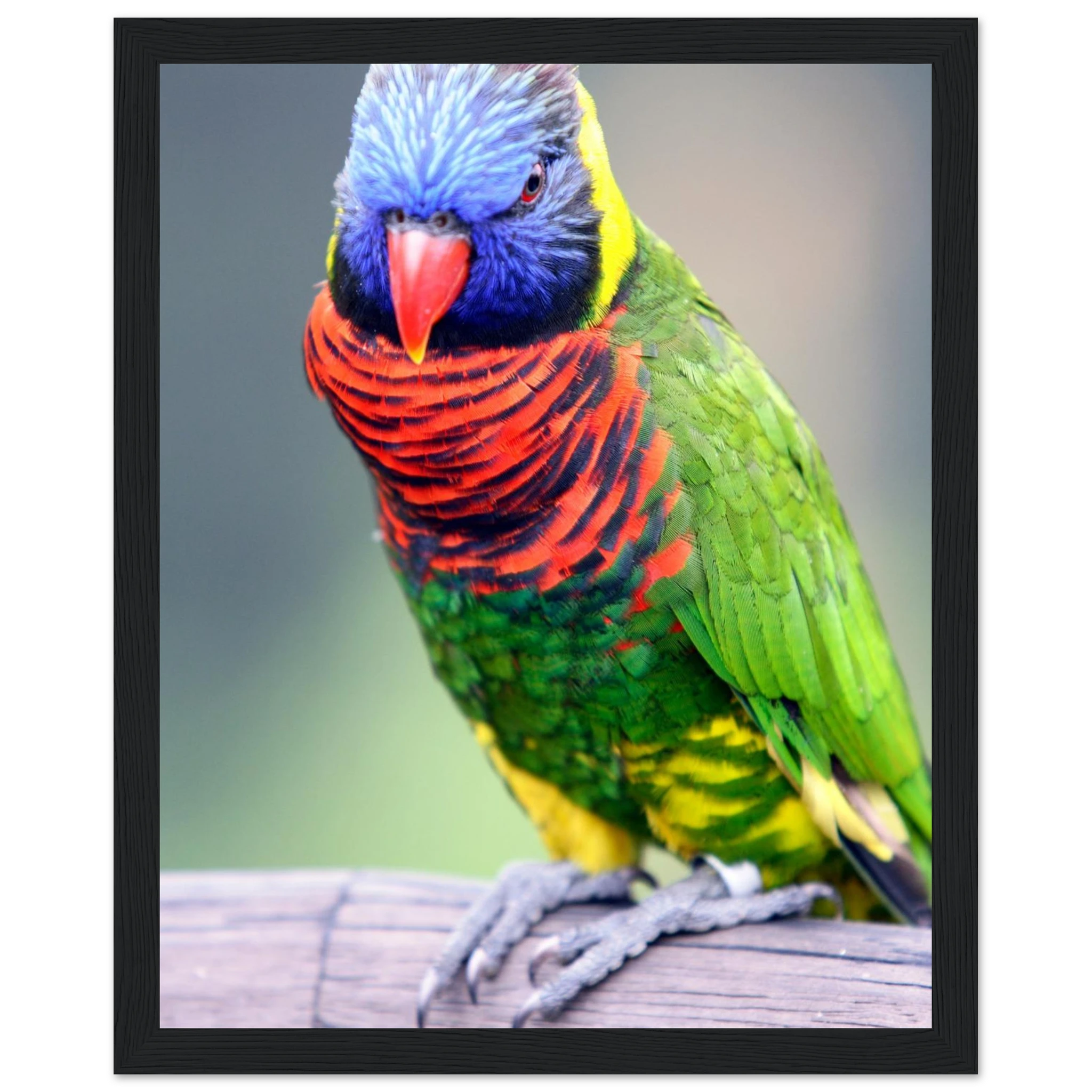 44674b29-6a77-41f2-aec3-4d56df0ee7af