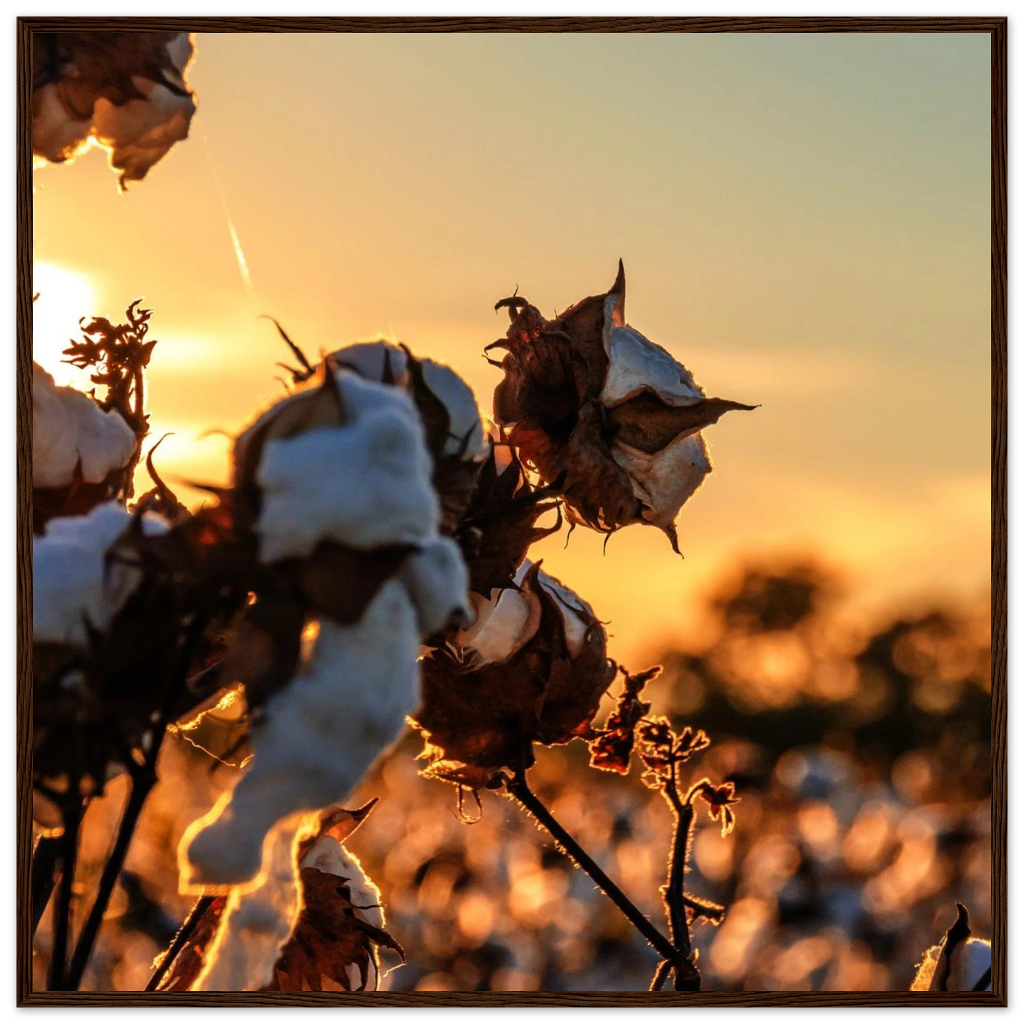 447187d9-5589-4495-a0fb-7039818d41d4