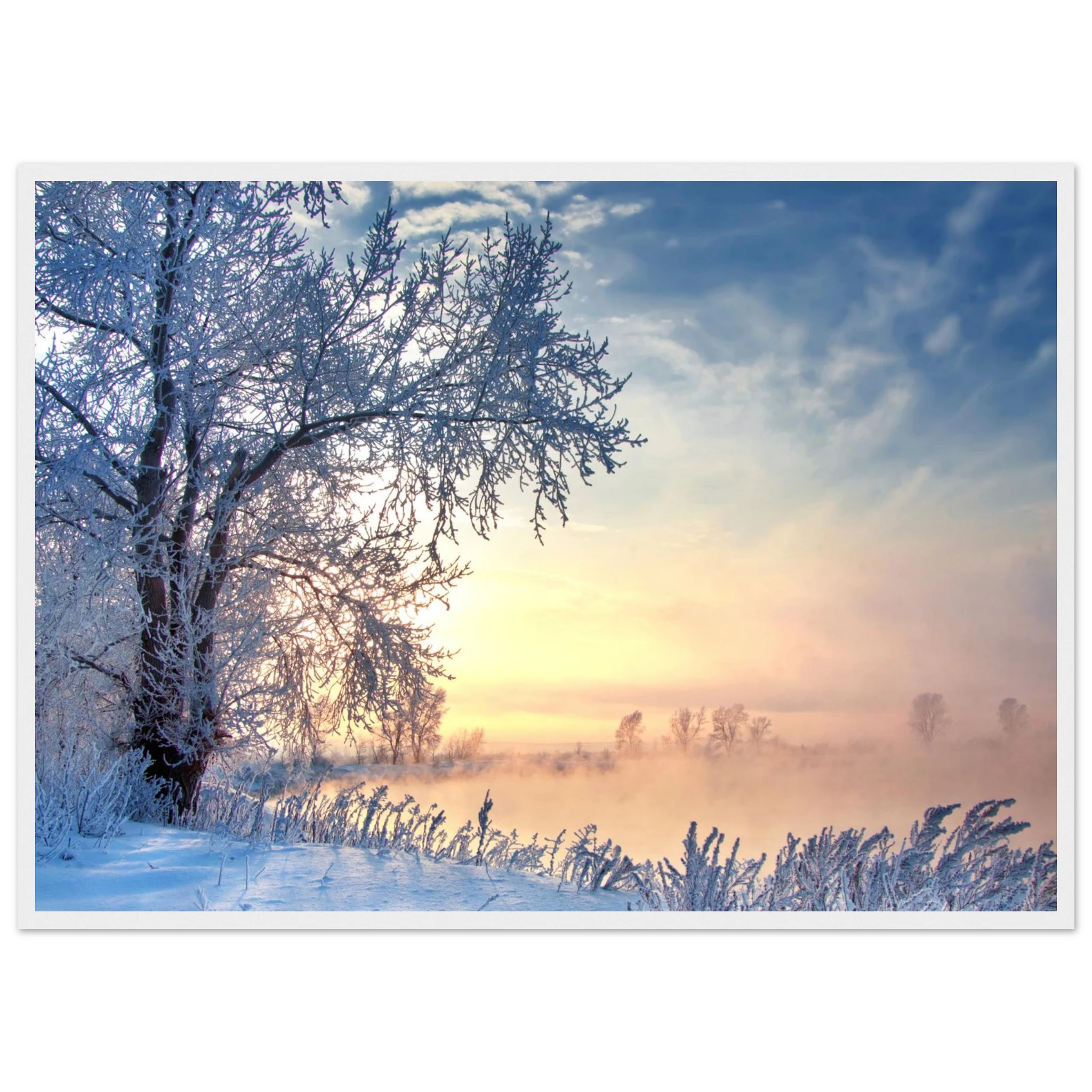 4471a949-bb4b-49fa-813b-b7878b7e88ed