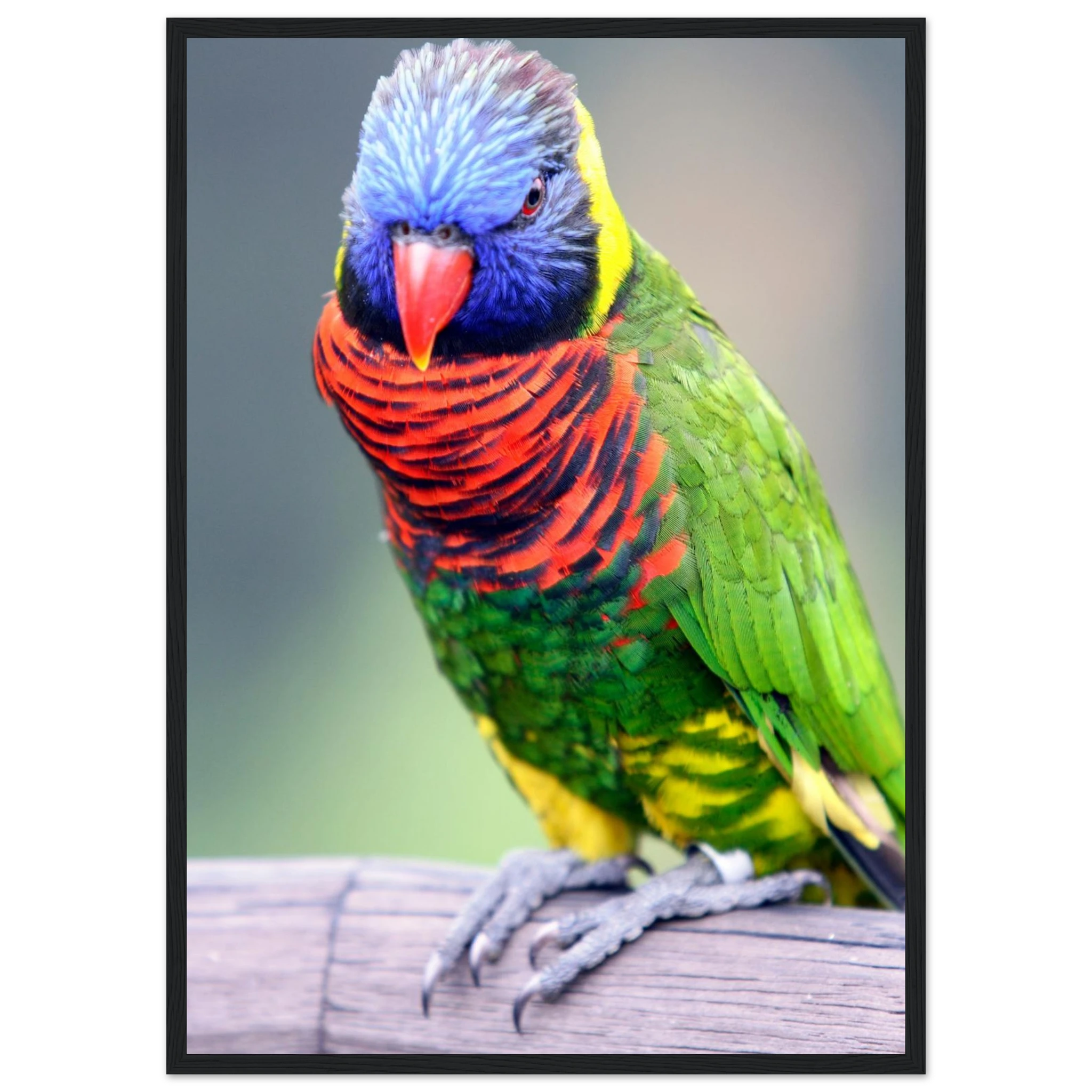 4494d046-6cd6-4a1d-820a-c9276c29b204