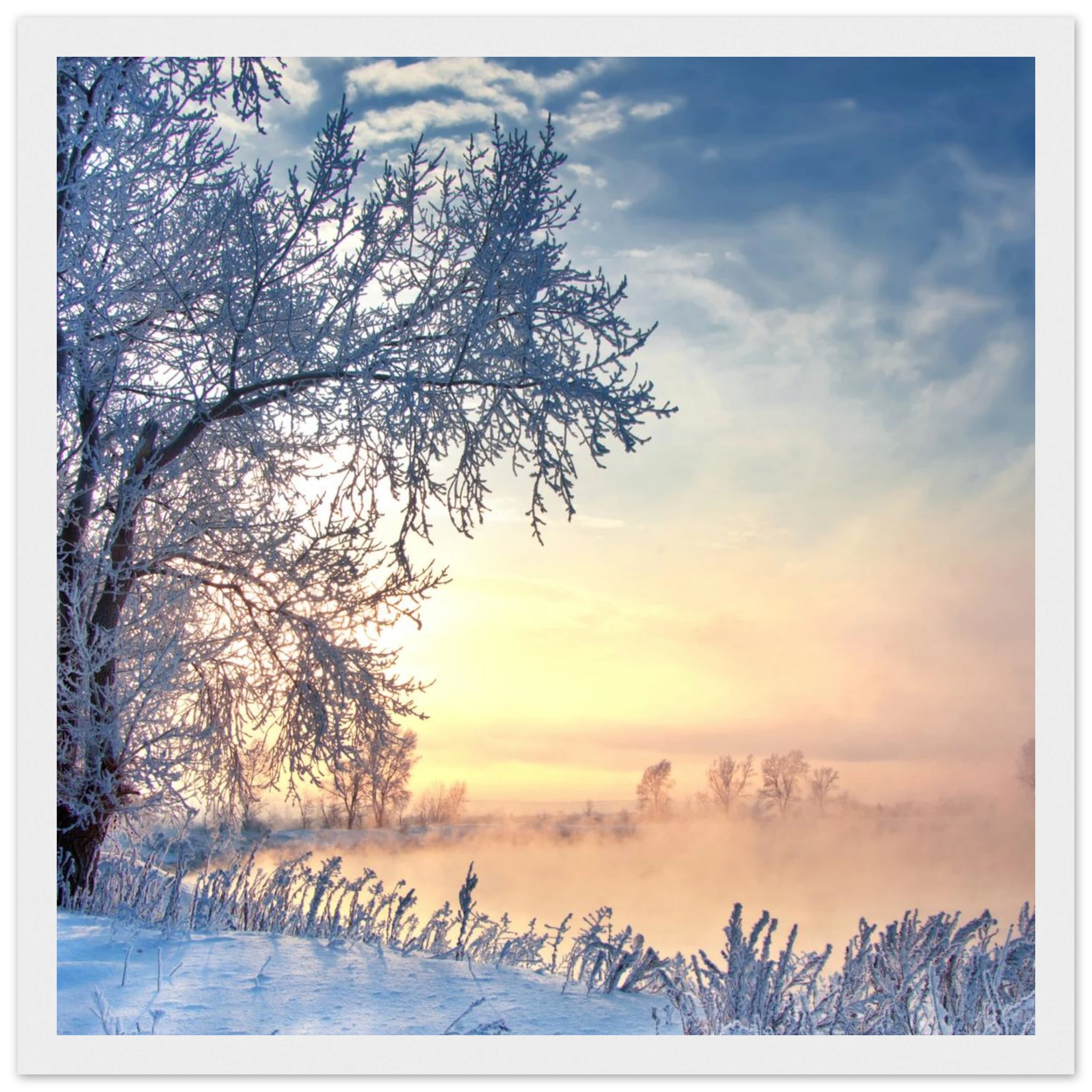 44c8a2ba-afbc-4578-94d4-1fa070804b94