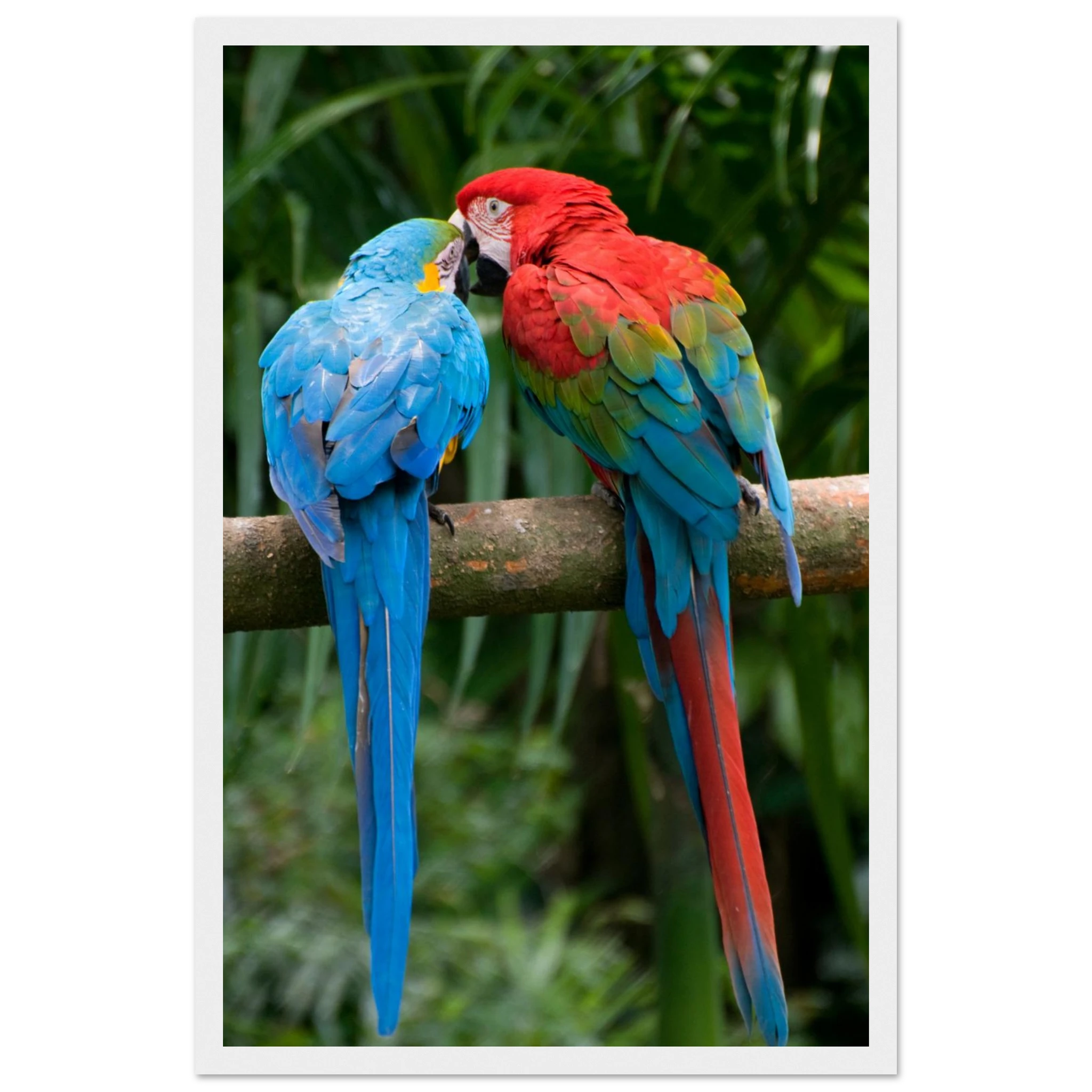 44d4e191-c4f0-4429-a632-e8aa4a15313e