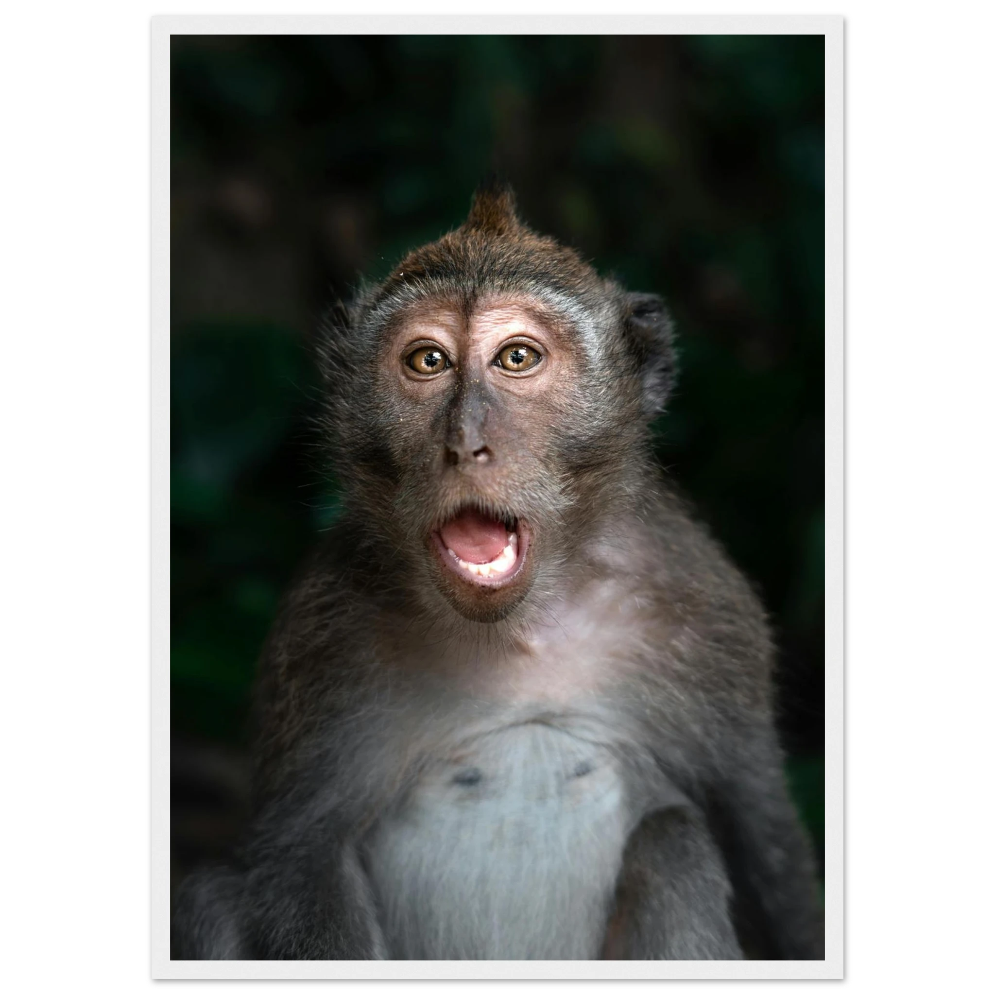 44d8d37c-292a-4b0e-8e28-4d4f0bb7e6aa