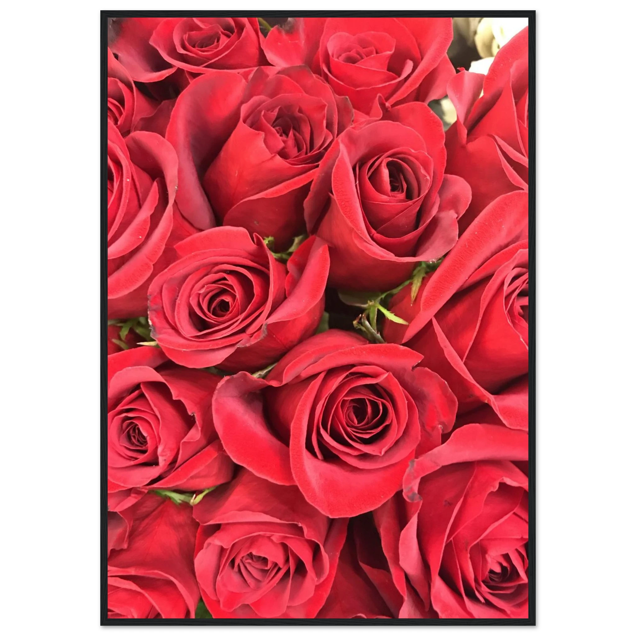 44dfcdf0-2b4d-4898-832b-02c0abfda46a