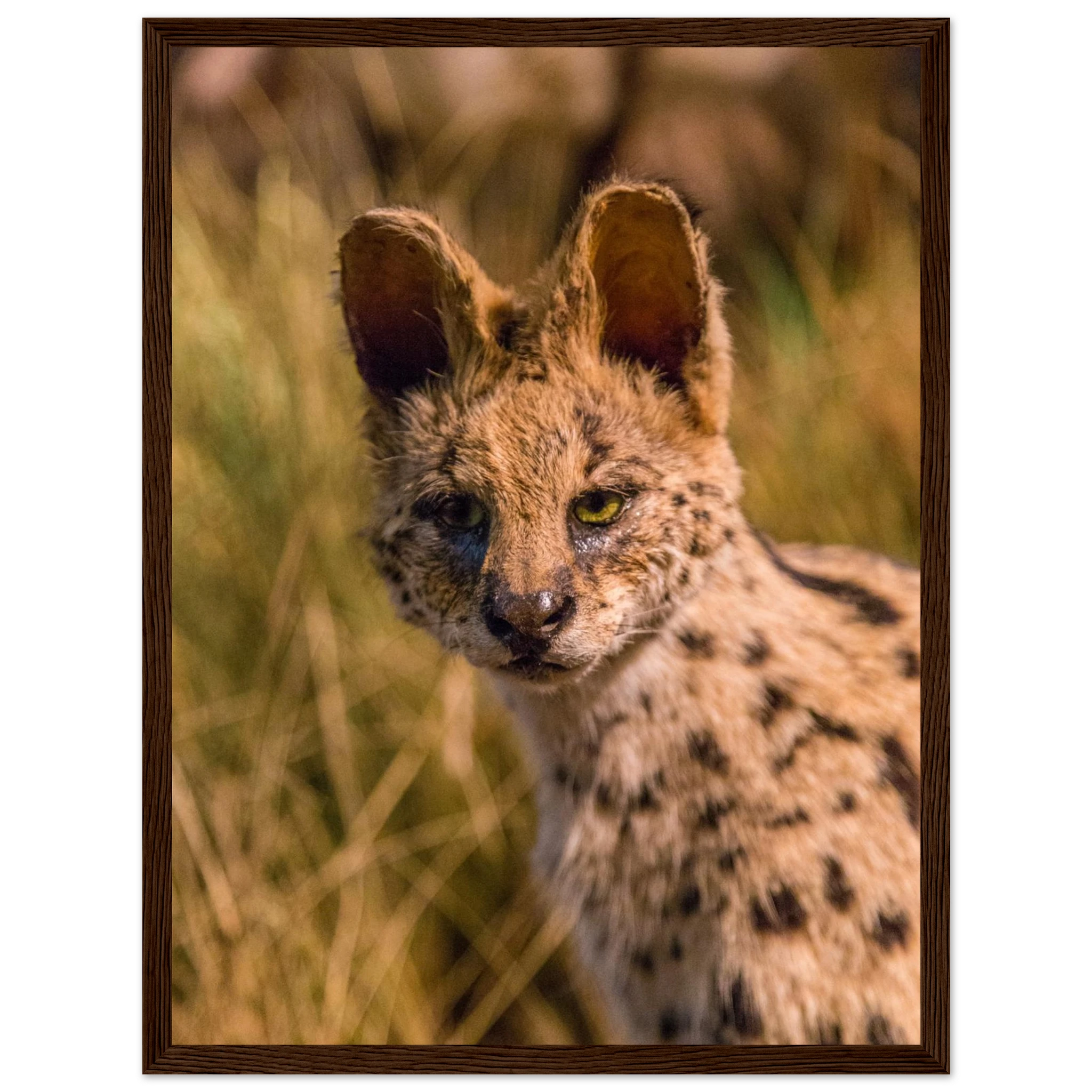 44f7328a-49c2-4c9b-b546-b8d69acf5518