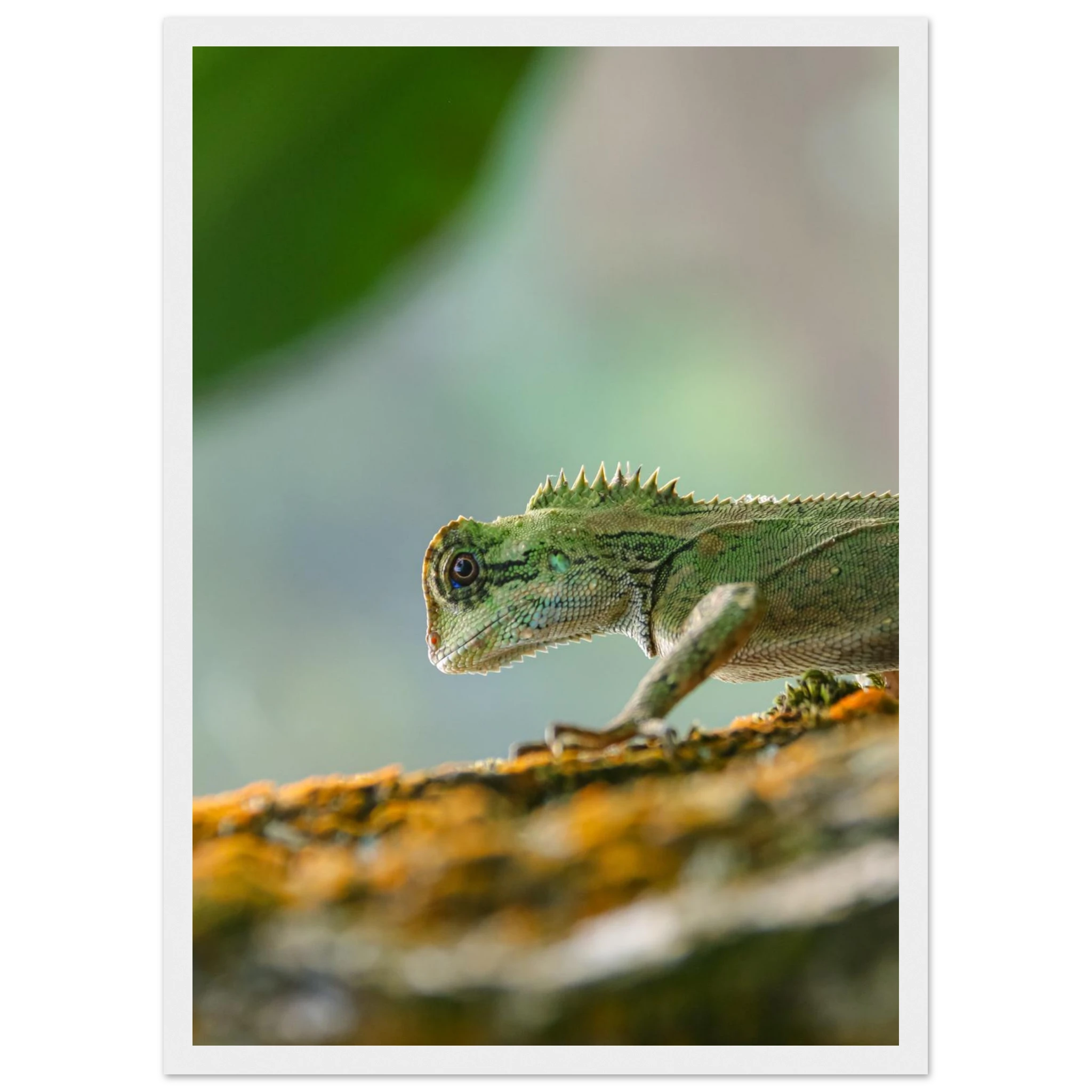 4517c12a-3a75-485c-85f9-5c8d88605041