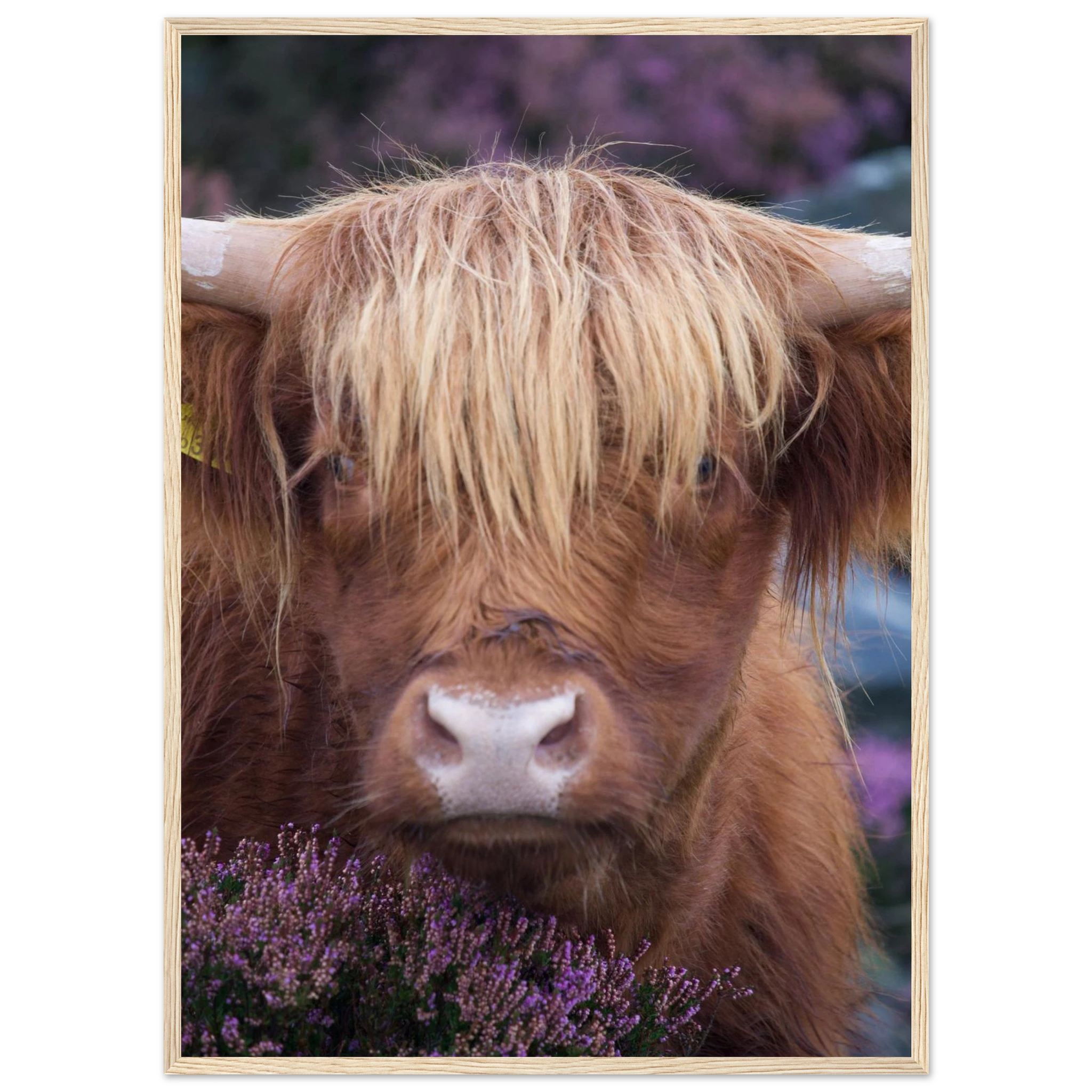 451b0501-a3b6-4b4a-bd42-910a1ace33aa