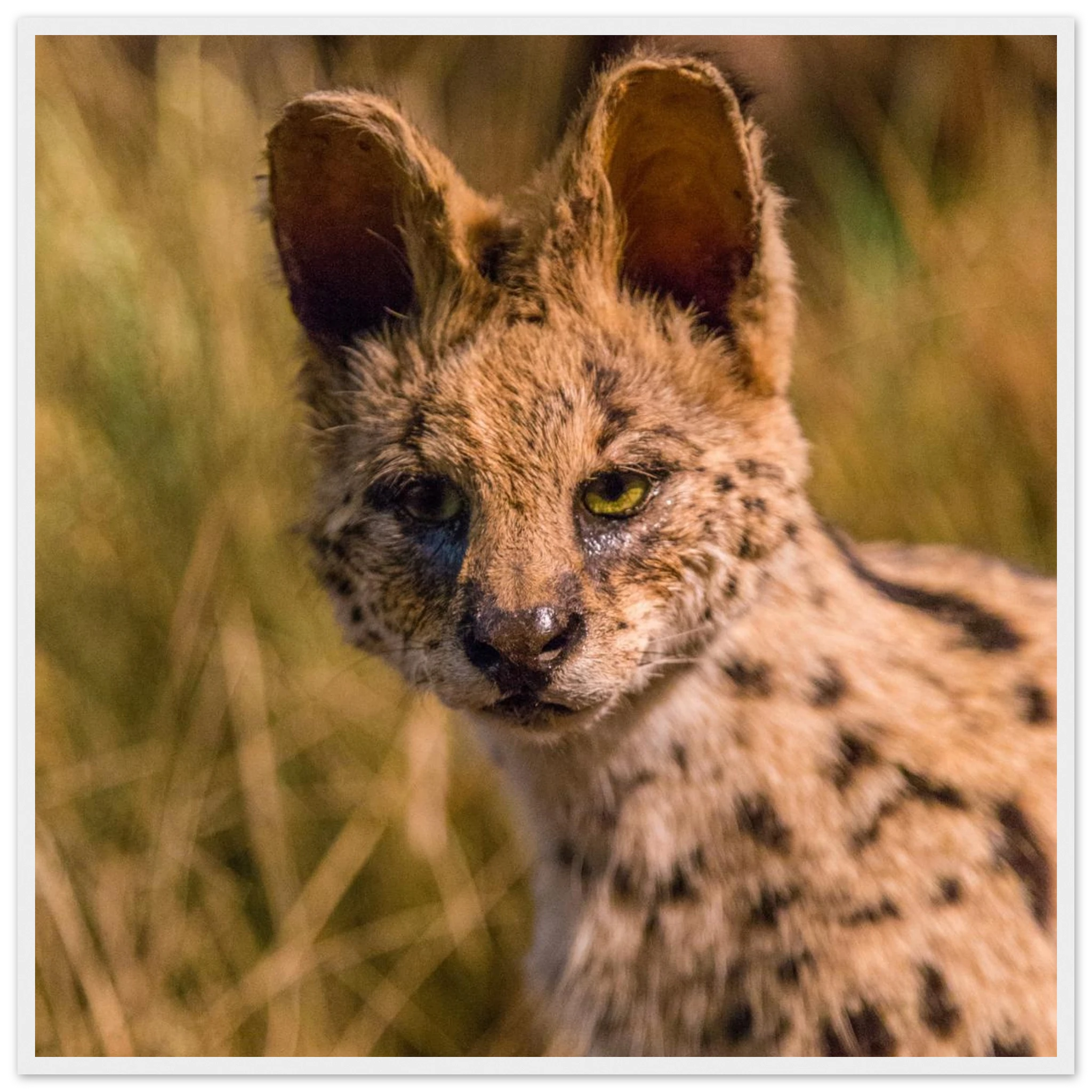 45288679-2fb5-4615-8cf8-afe25aa4b132