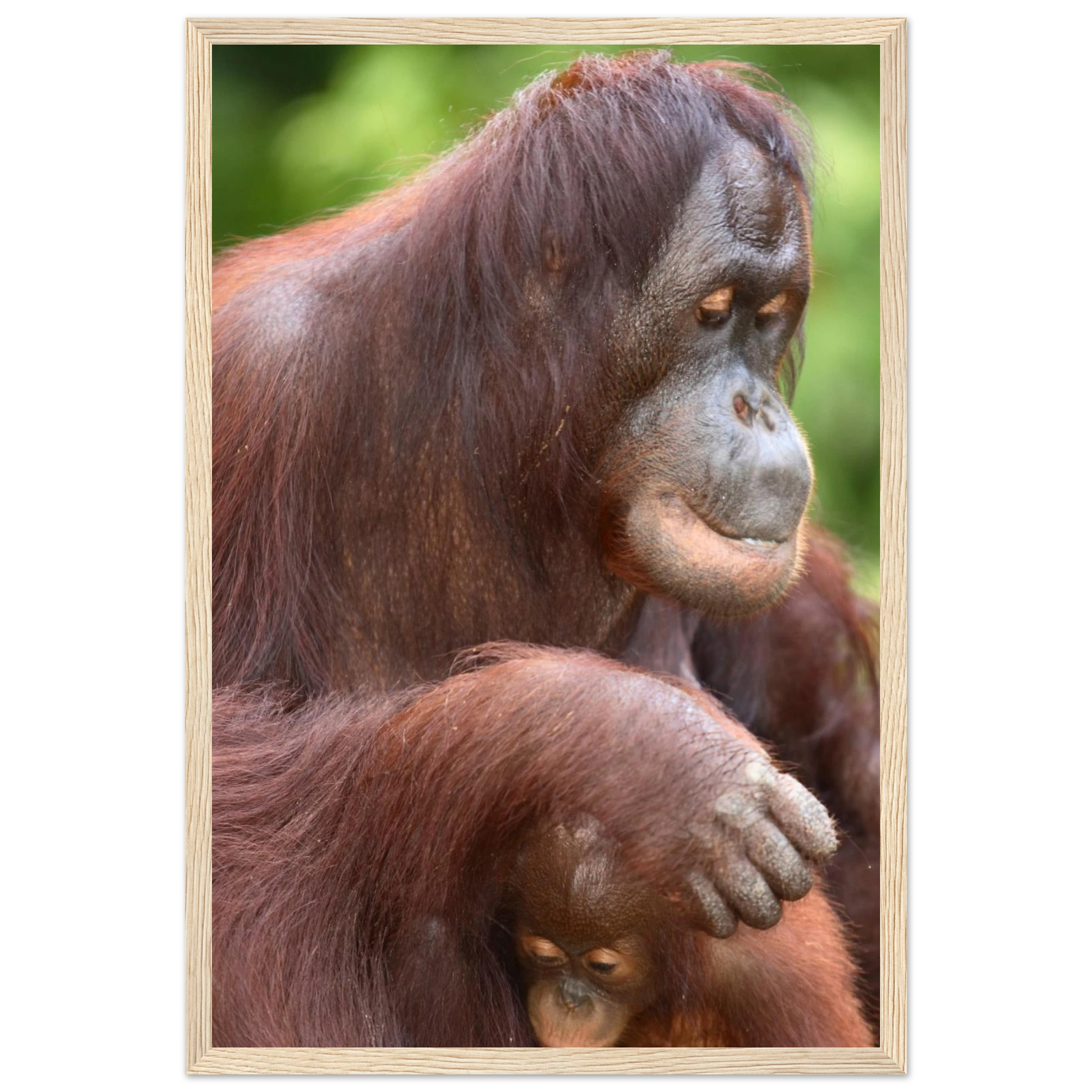 45455242-cbe2-4b86-8f5d-a170c868c759