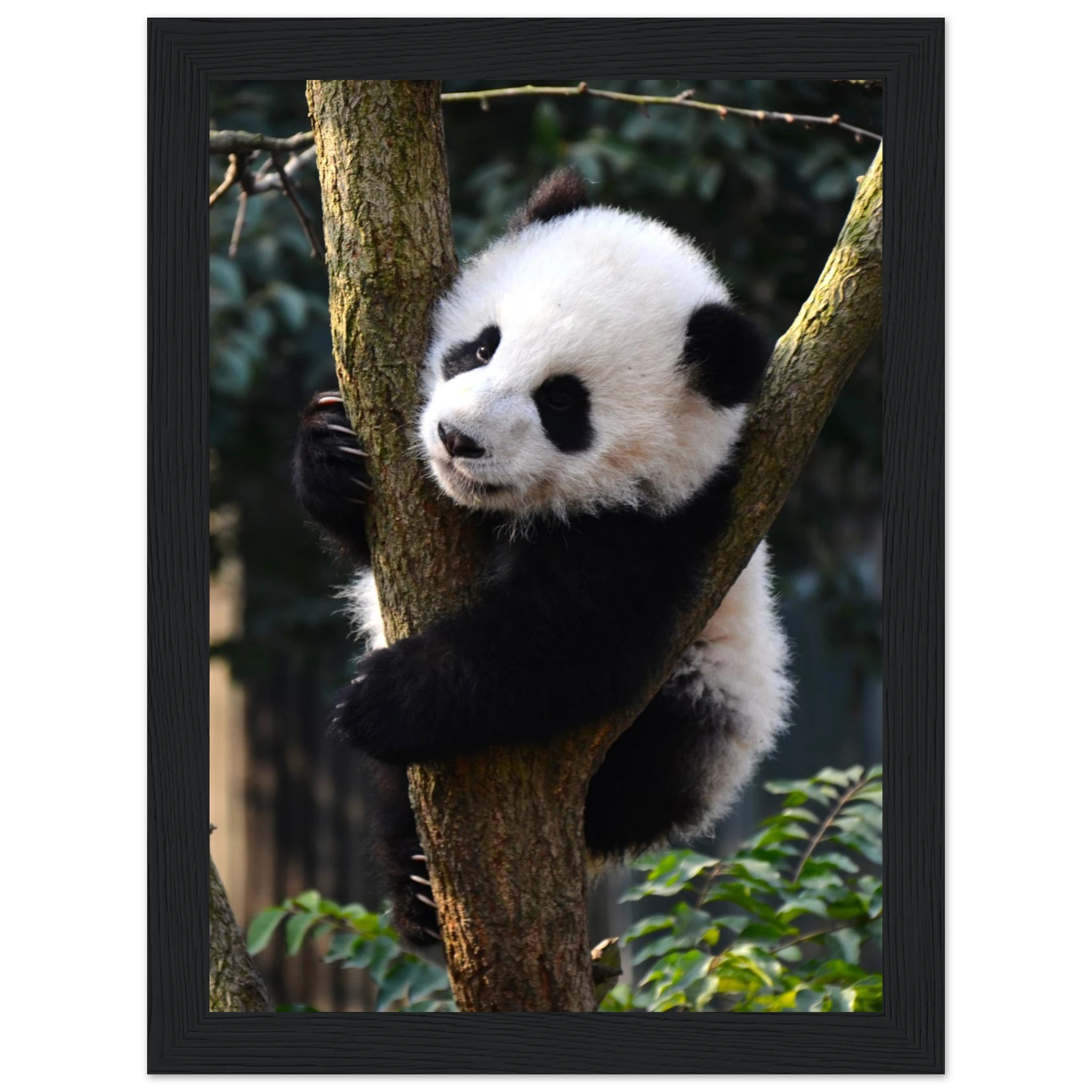 454b9623-feb4-4ea8-ad26-9fb2be1b0959