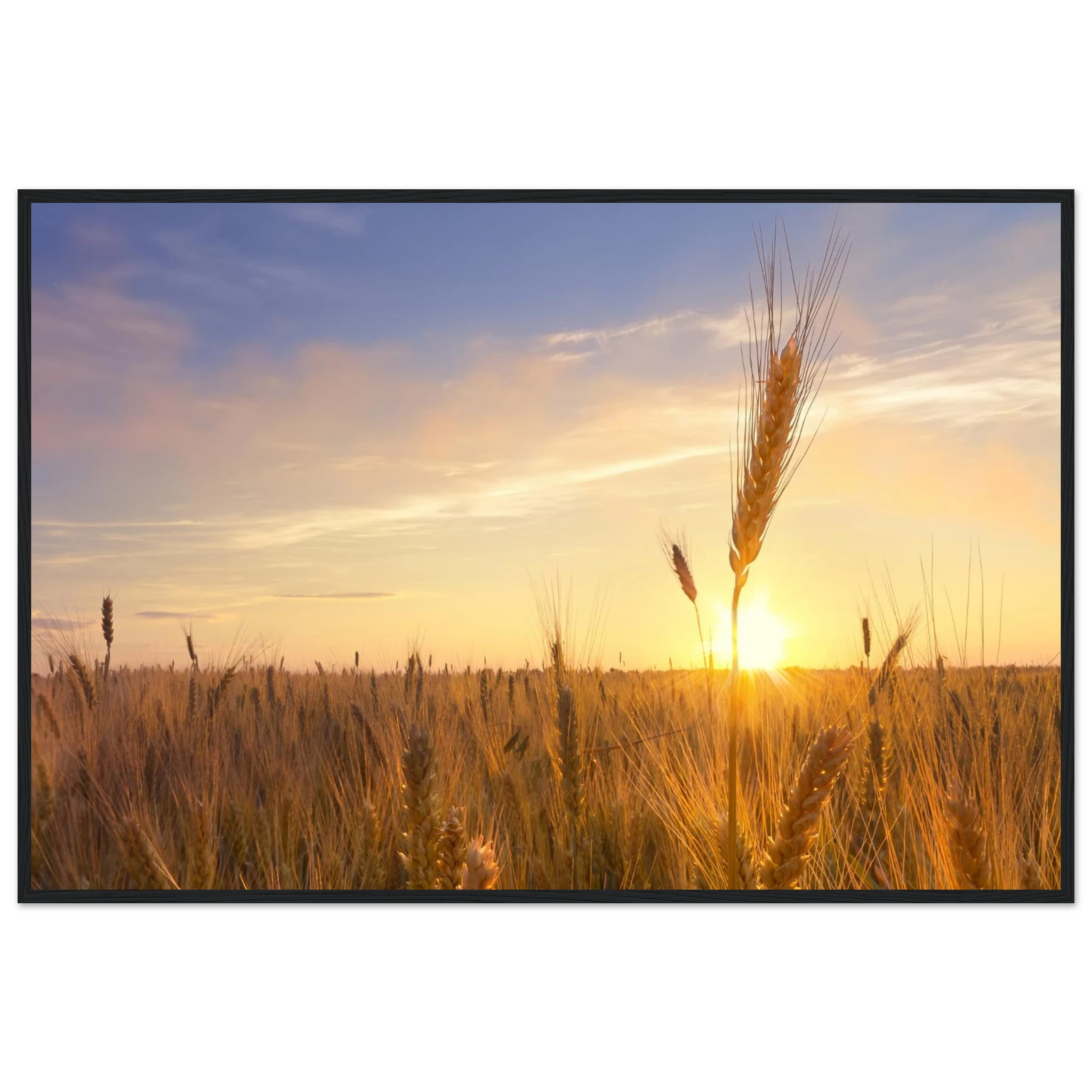 4559084d-cbd4-4c5f-8bbc-d75e45aa5383