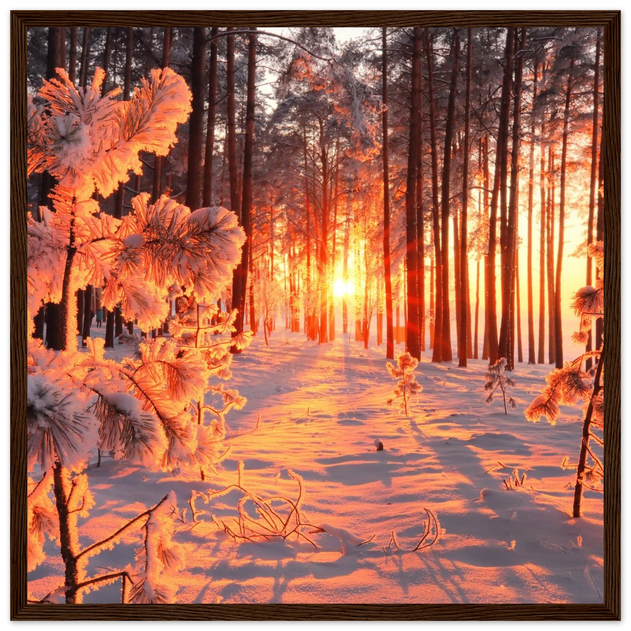 456758f7-c120-4381-90d0-7eca7ff4db5a