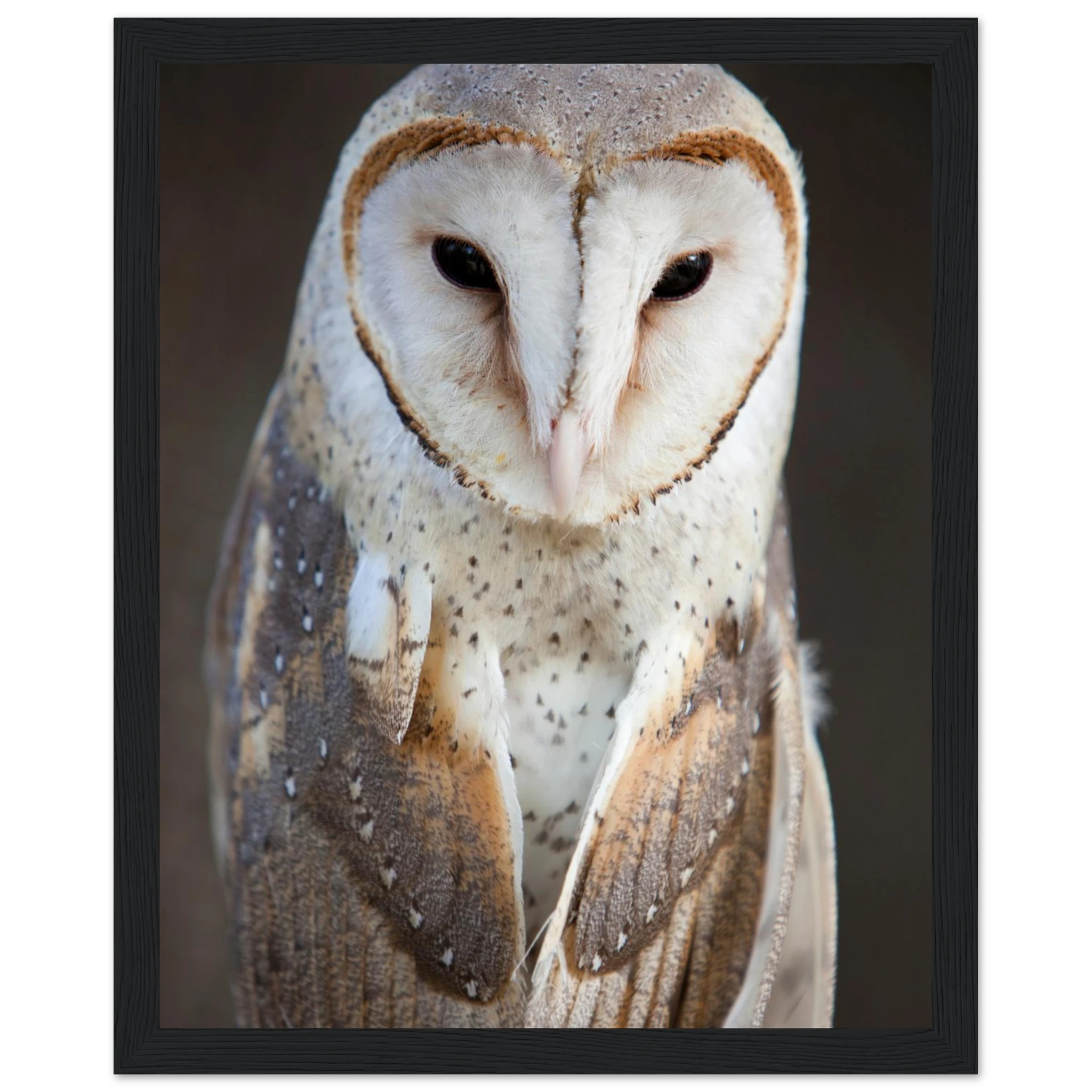 458c7fd8-6bc7-4ad8-b691-8635bd9c69c8