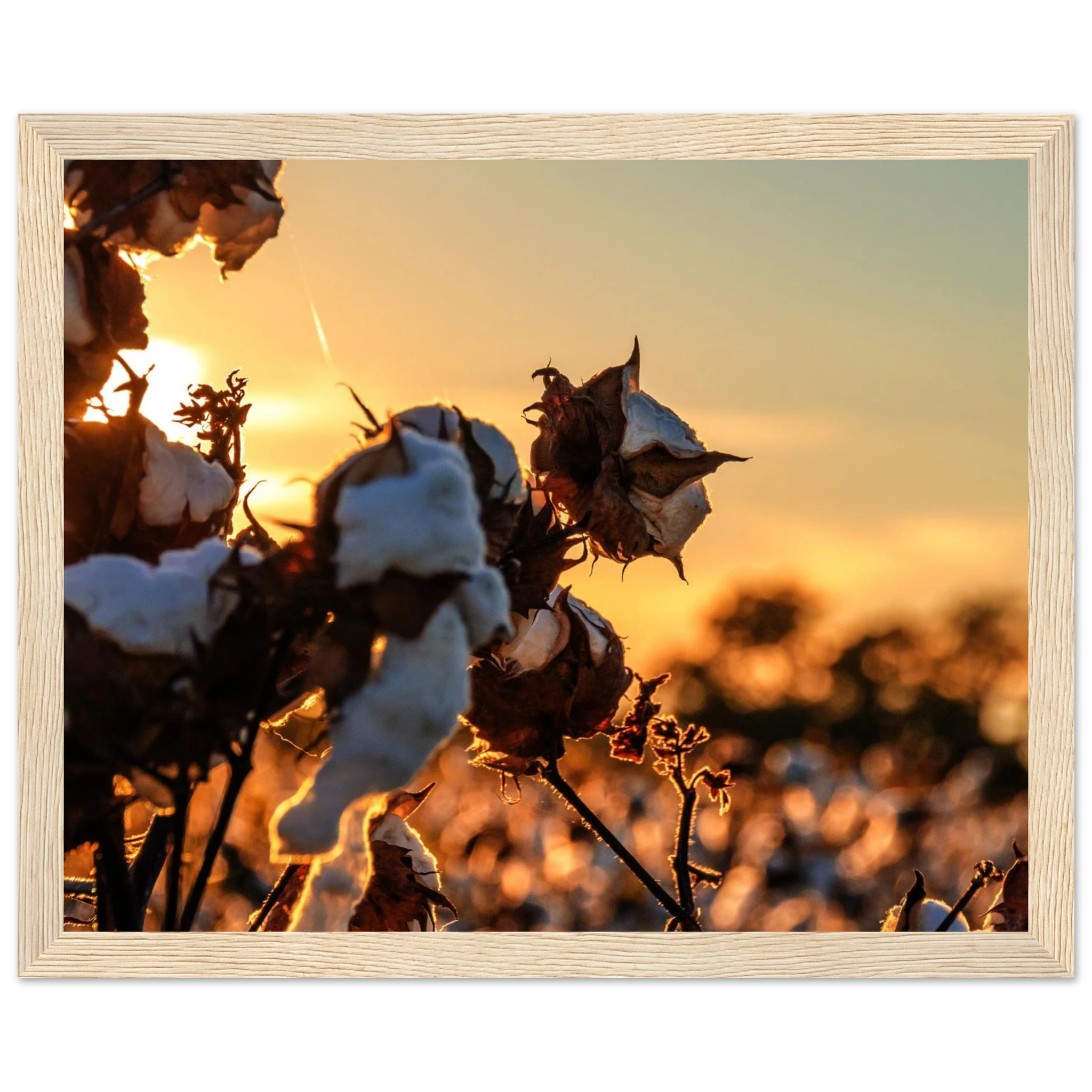 45a90aac-9c8d-4ff2-aebf-0361f58439b9