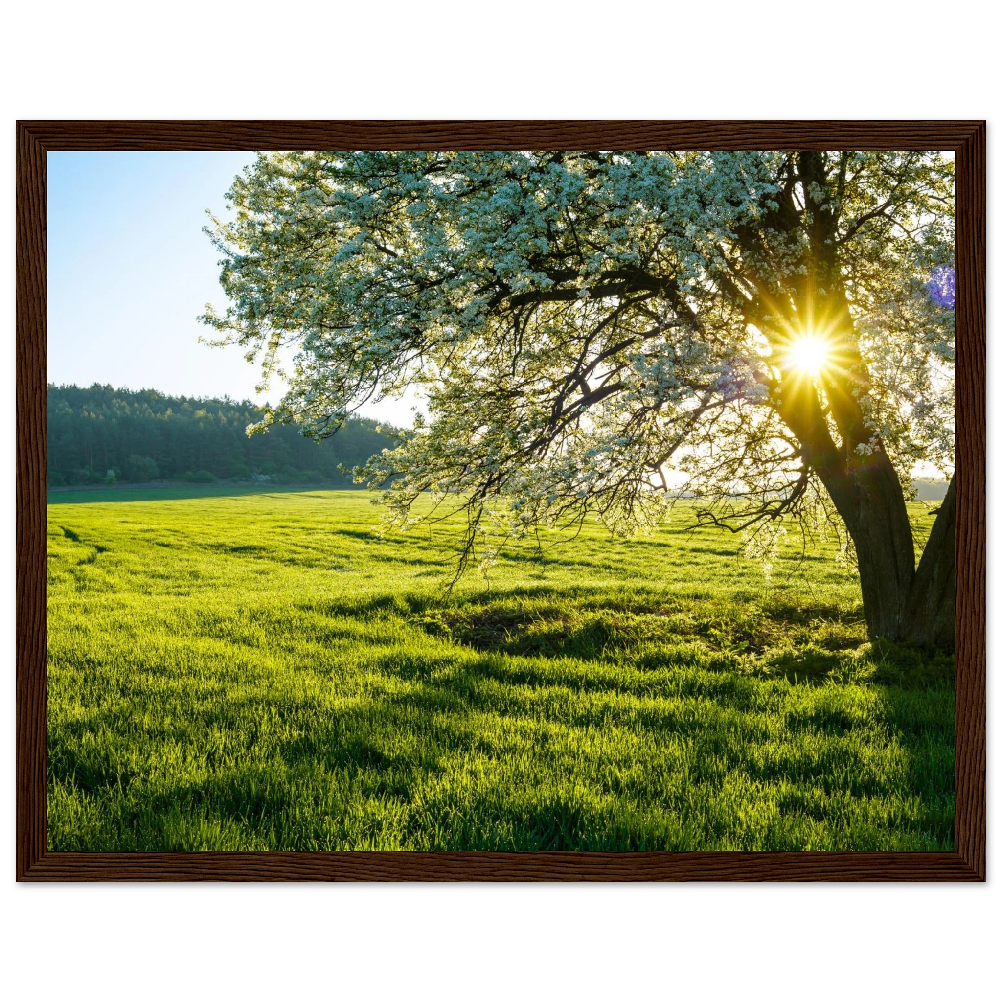 45b7ad1c-68f1-447a-91ef-ce3f4954391b