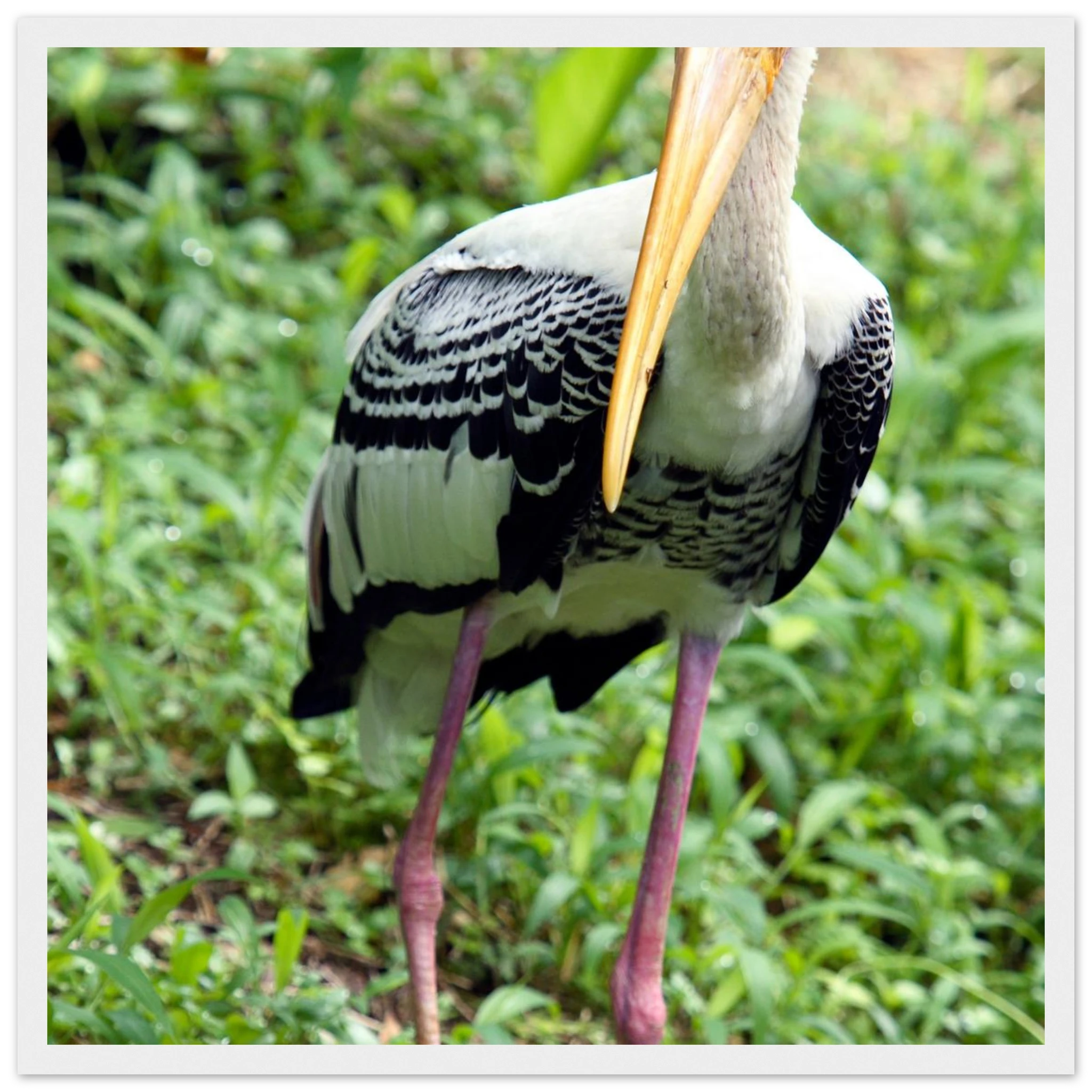 45c8390b-2923-451b-ba67-45303418052d