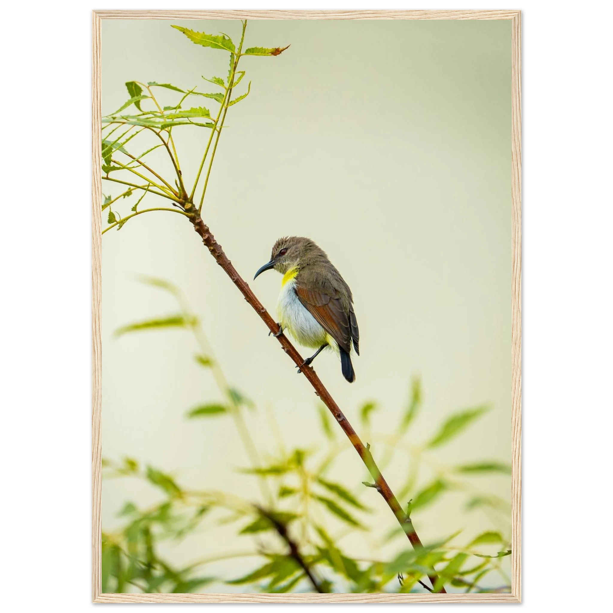 45ed75a1-50e6-4ea3-bdc6-c89f43a24cf4