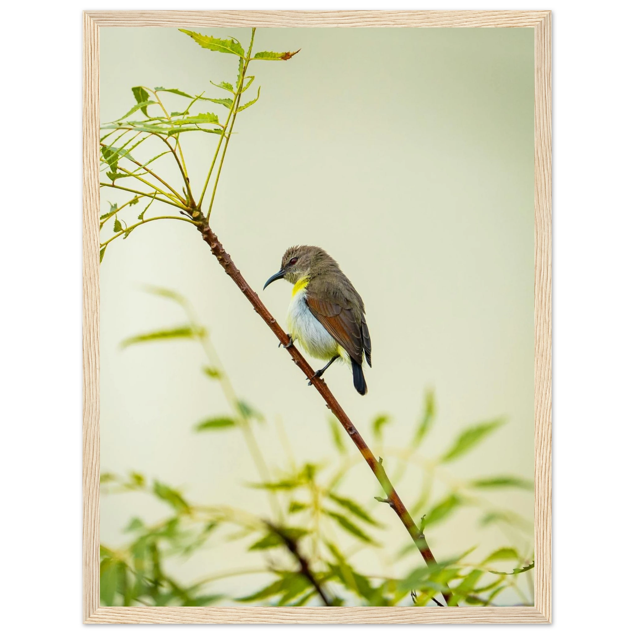 45fbddd6-2c84-4cfa-a9d4-a65e4e3d3d3a