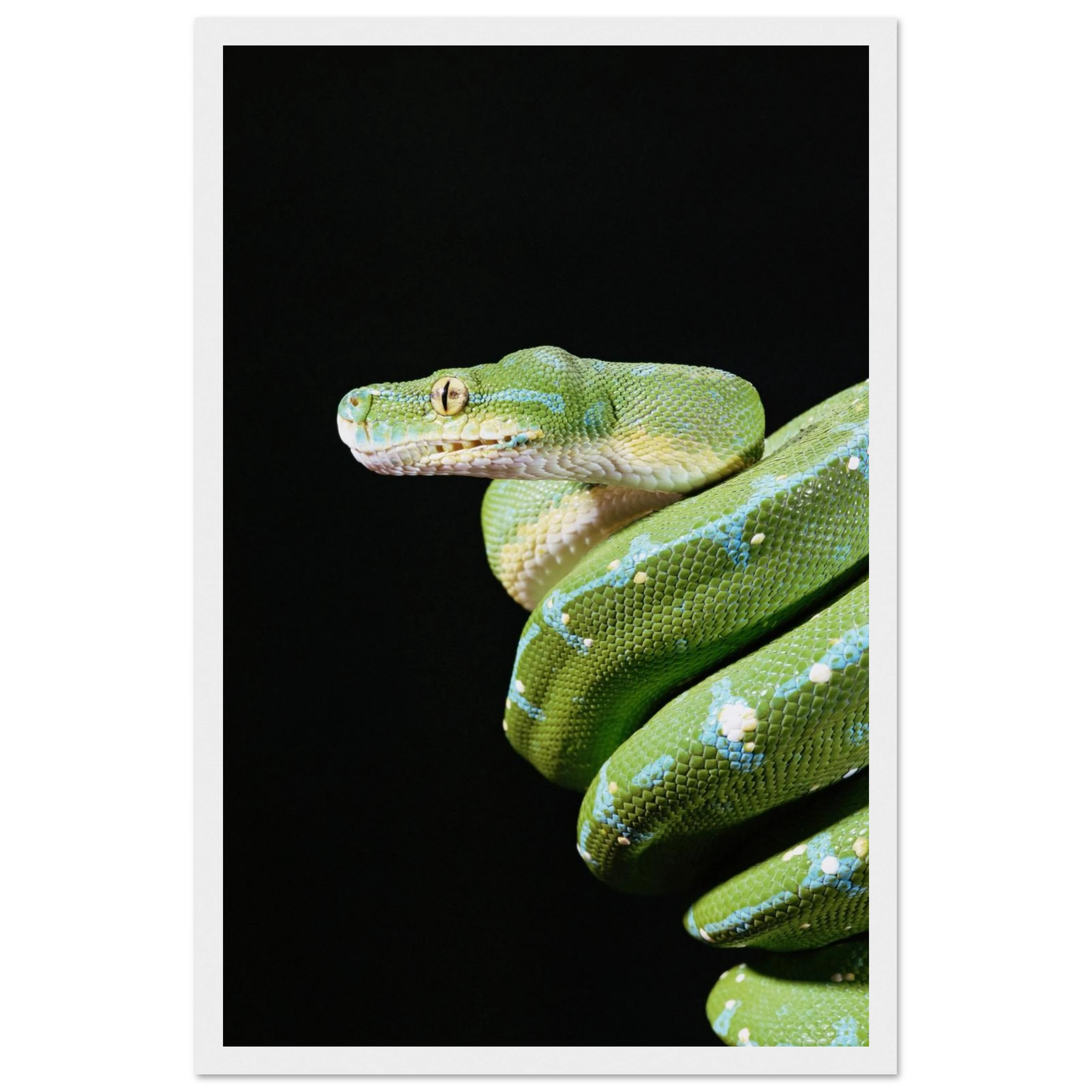 46004b3e-ab44-4435-8d7b-da579f98c9bf