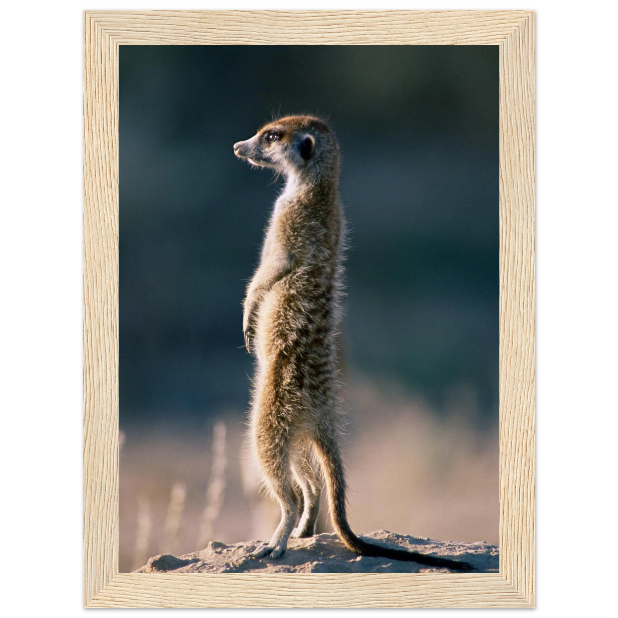 46176816-e25b-4e38-b26a-09c395f6bbf7