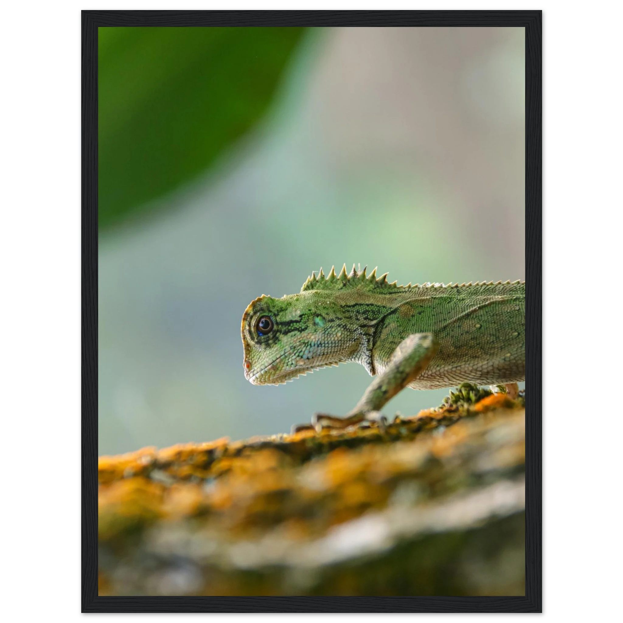 461a6b10-2048-4209-a29d-de472ca9cbfc