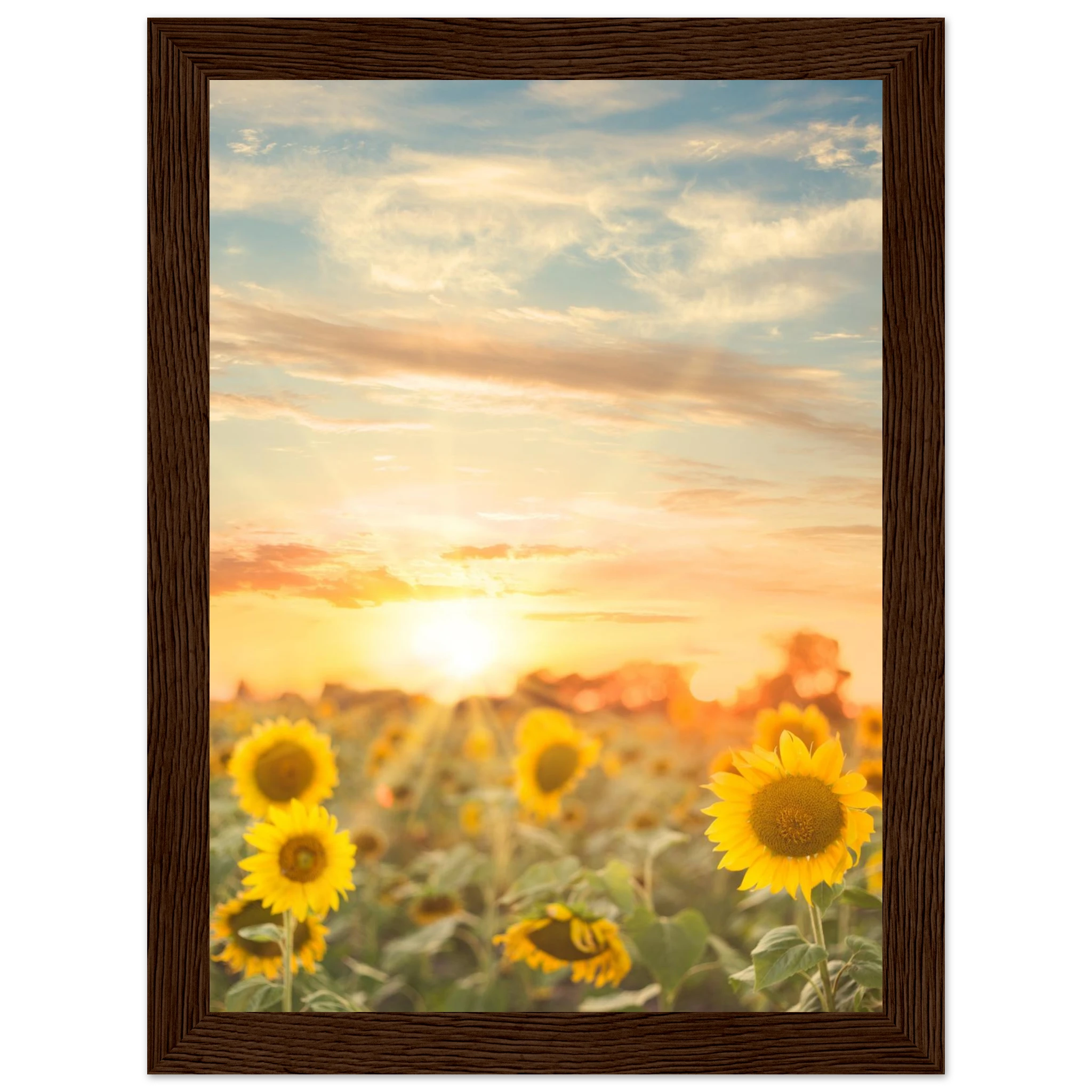 4628f2e6-49a2-464b-9715-8942e8ea0ec6