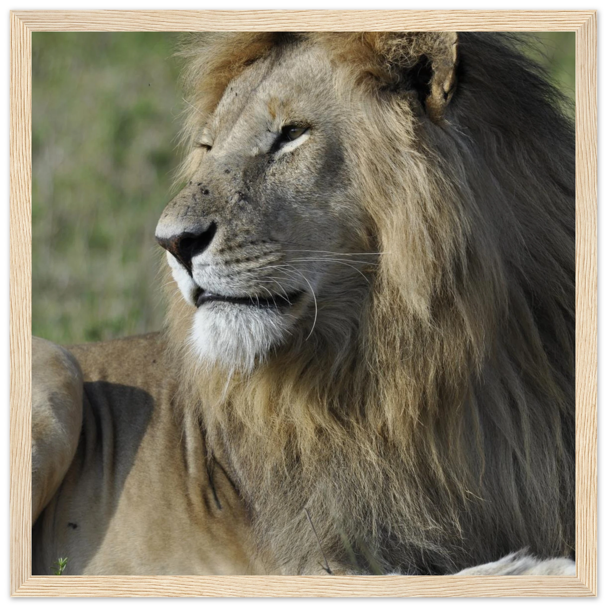 4641d310-1b69-4ac6-b3c8-aff167e947f1