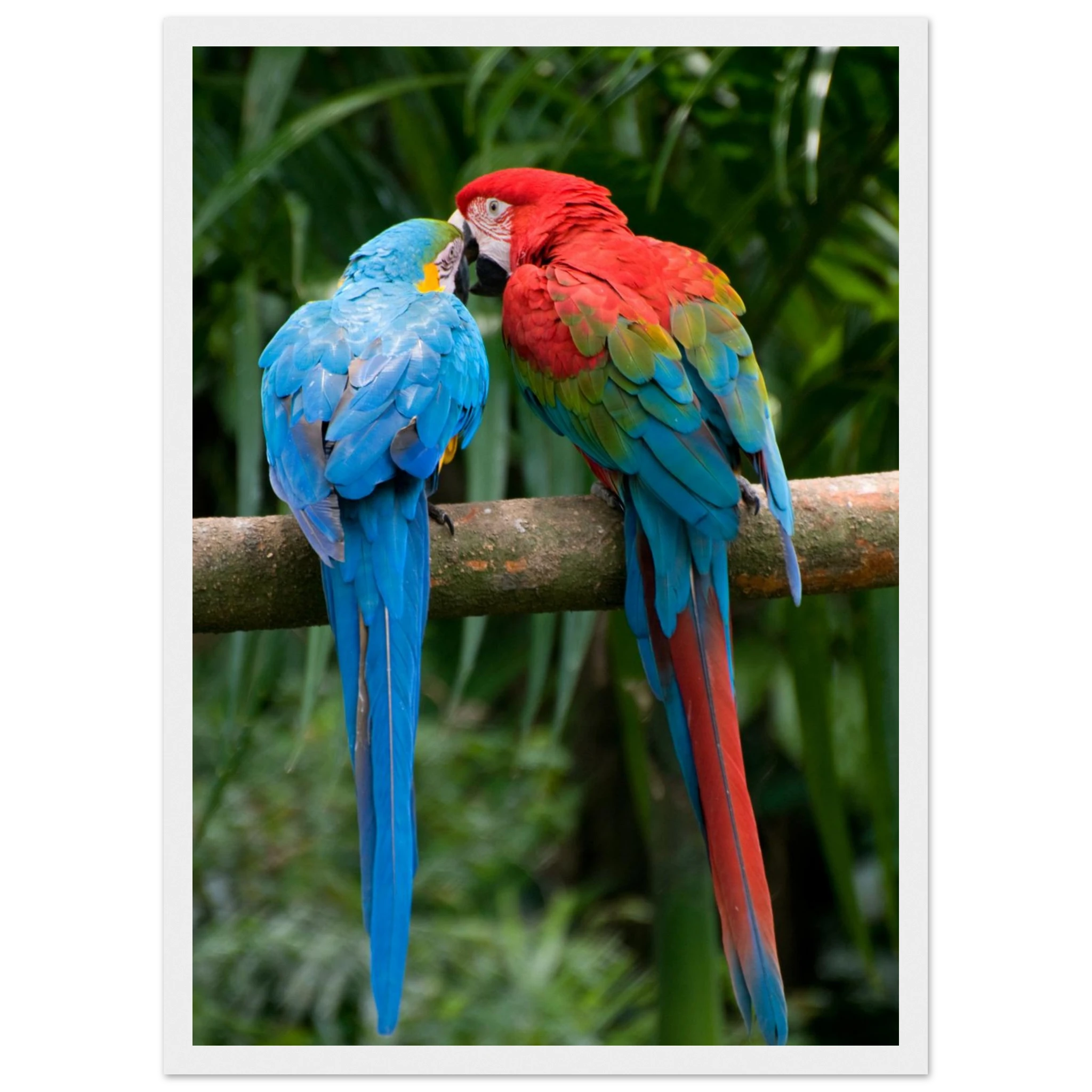 464552d9-2d46-4db5-b092-ad2f2a8d6ae4