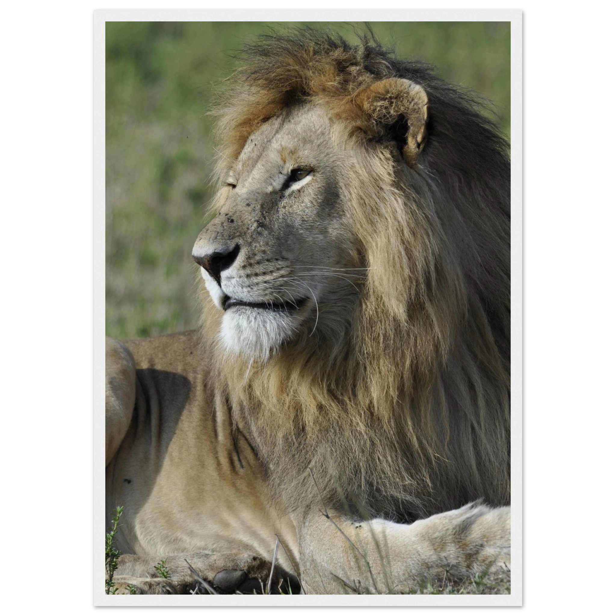 46548981-c4cd-4b36-8a00-4212ba8d375d