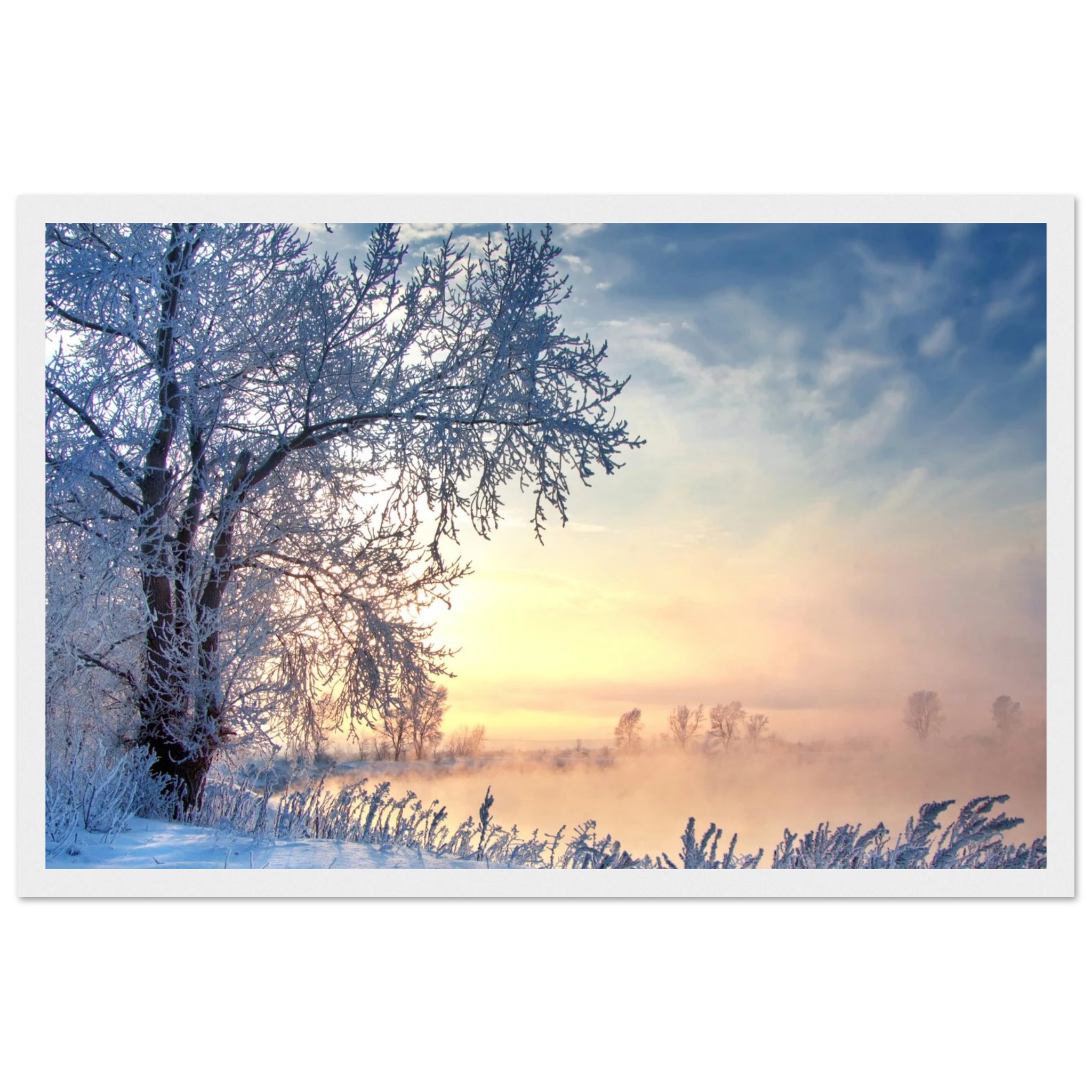 46730552-0caf-42f4-b0f4-5e0bd19aedf5