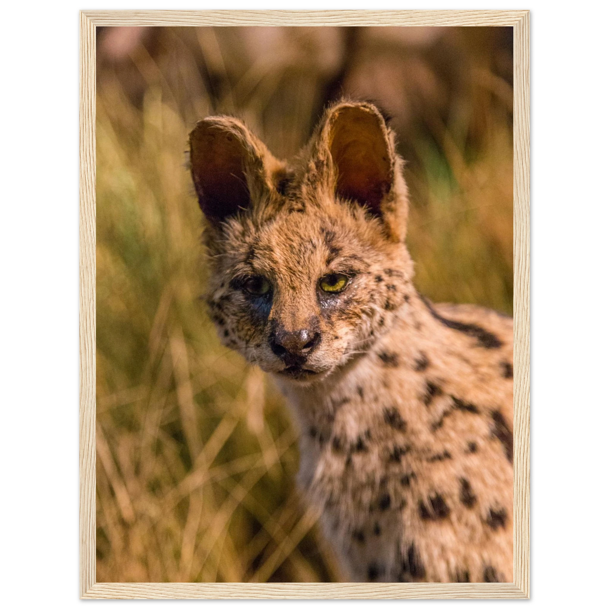 467eacc8-2bd8-4803-960b-9b998def9471