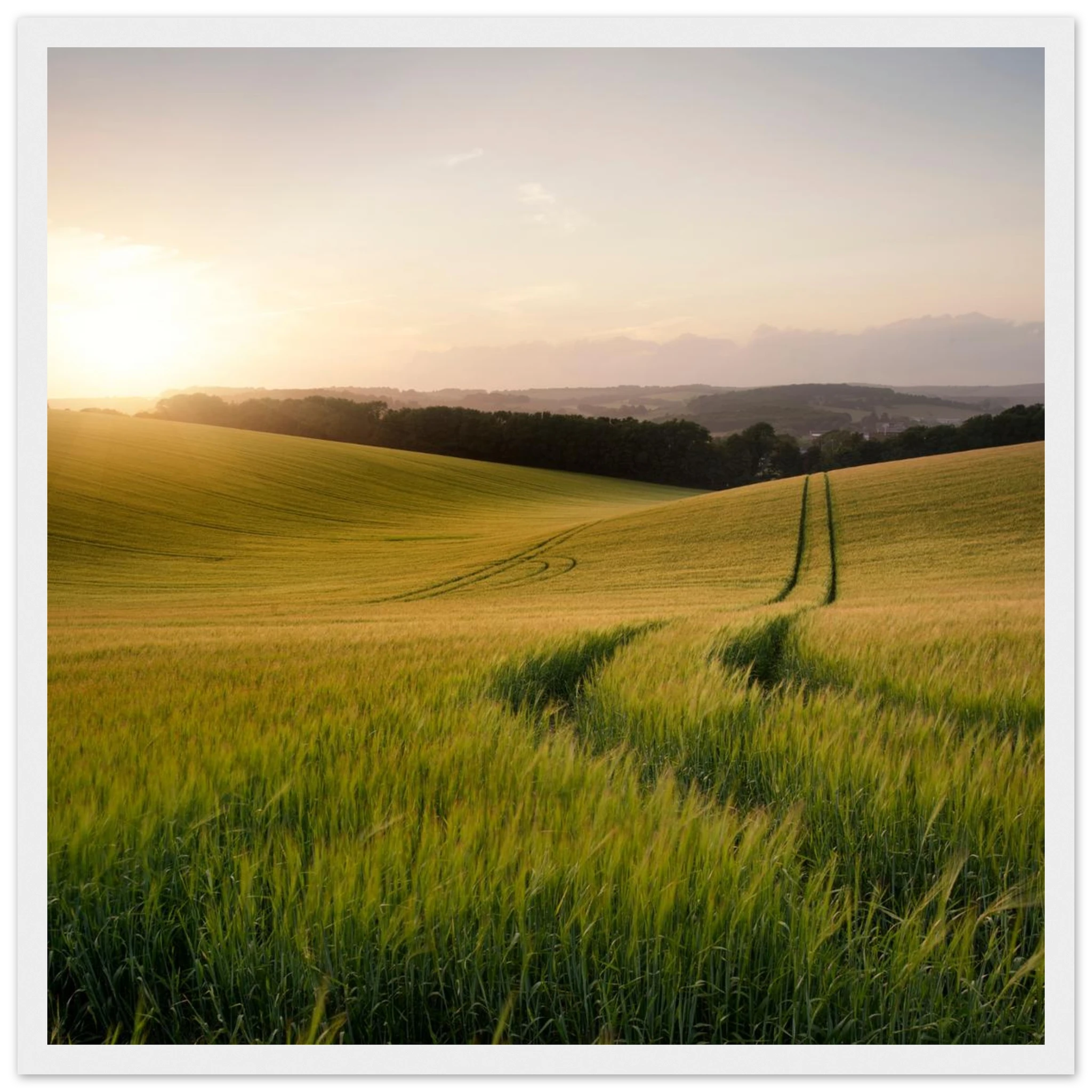 467fc842-a53d-4394-9a5f-05fc84bef9cf