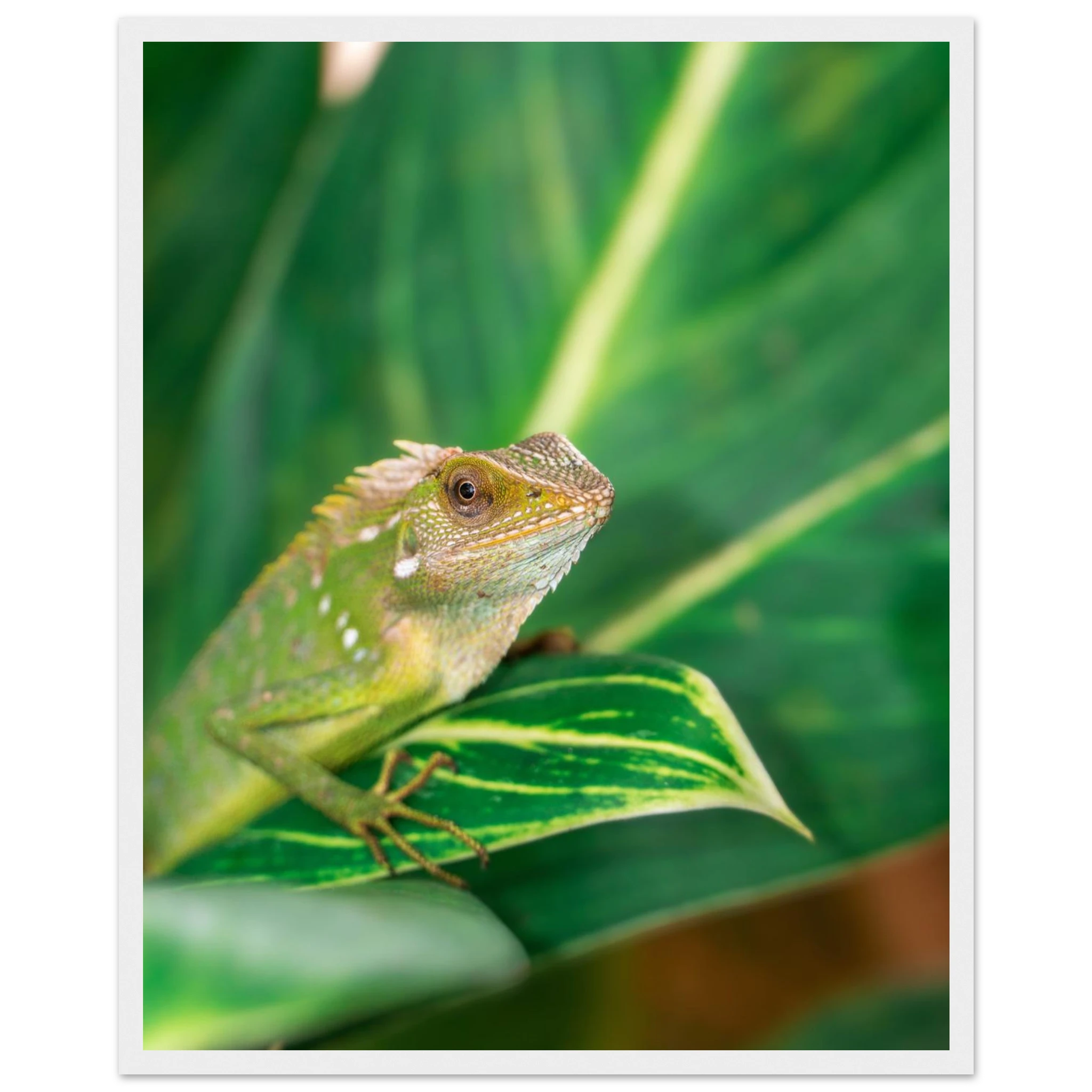 46853a87-13b7-465e-b63c-6d604ab38d58