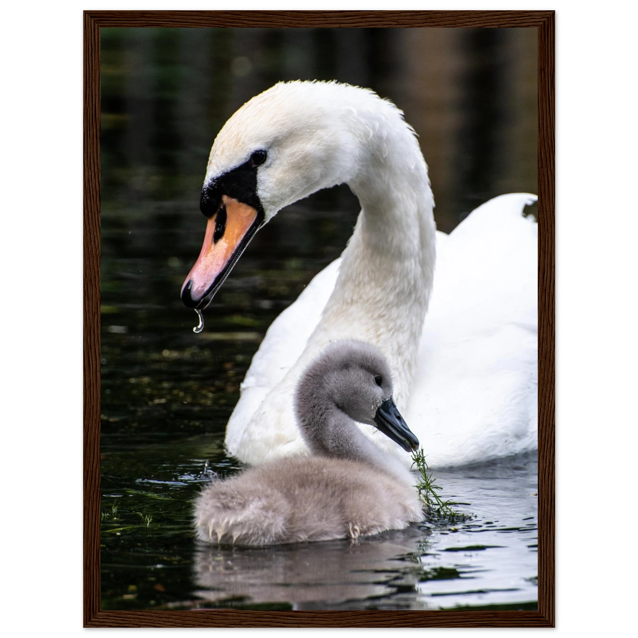 4687e280-5fa1-4f99-8952-afe0406c311a