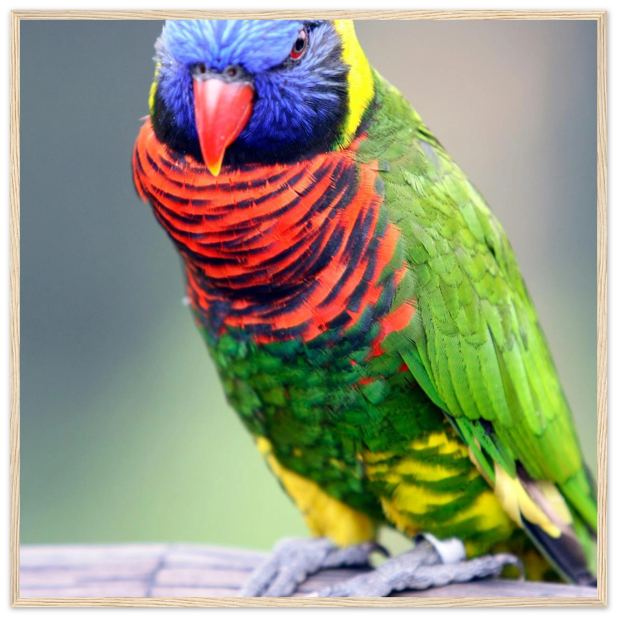 468d1108-7e41-4144-a219-d5e7795af403