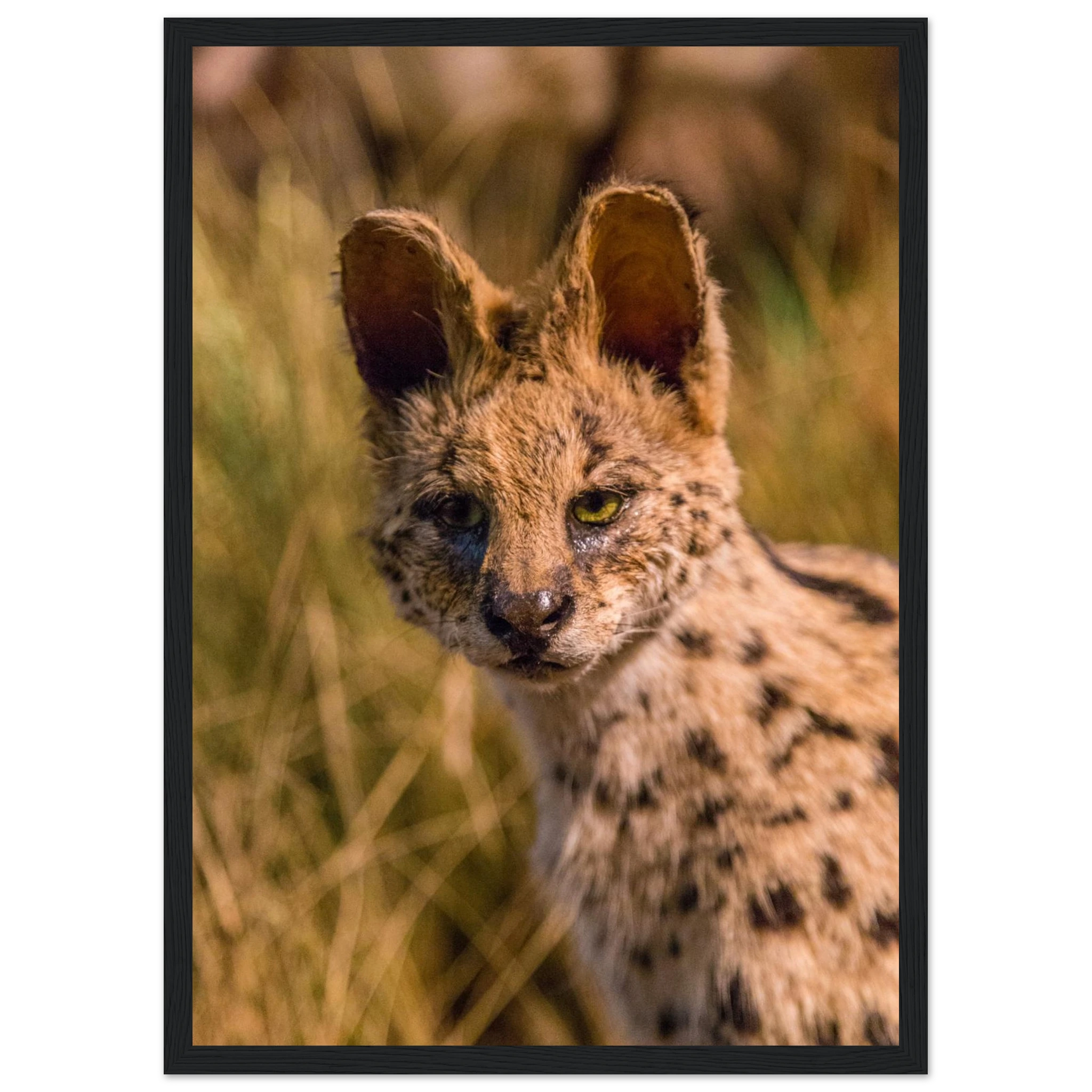 469bf6bb-cb23-479e-90f3-272886be3a94