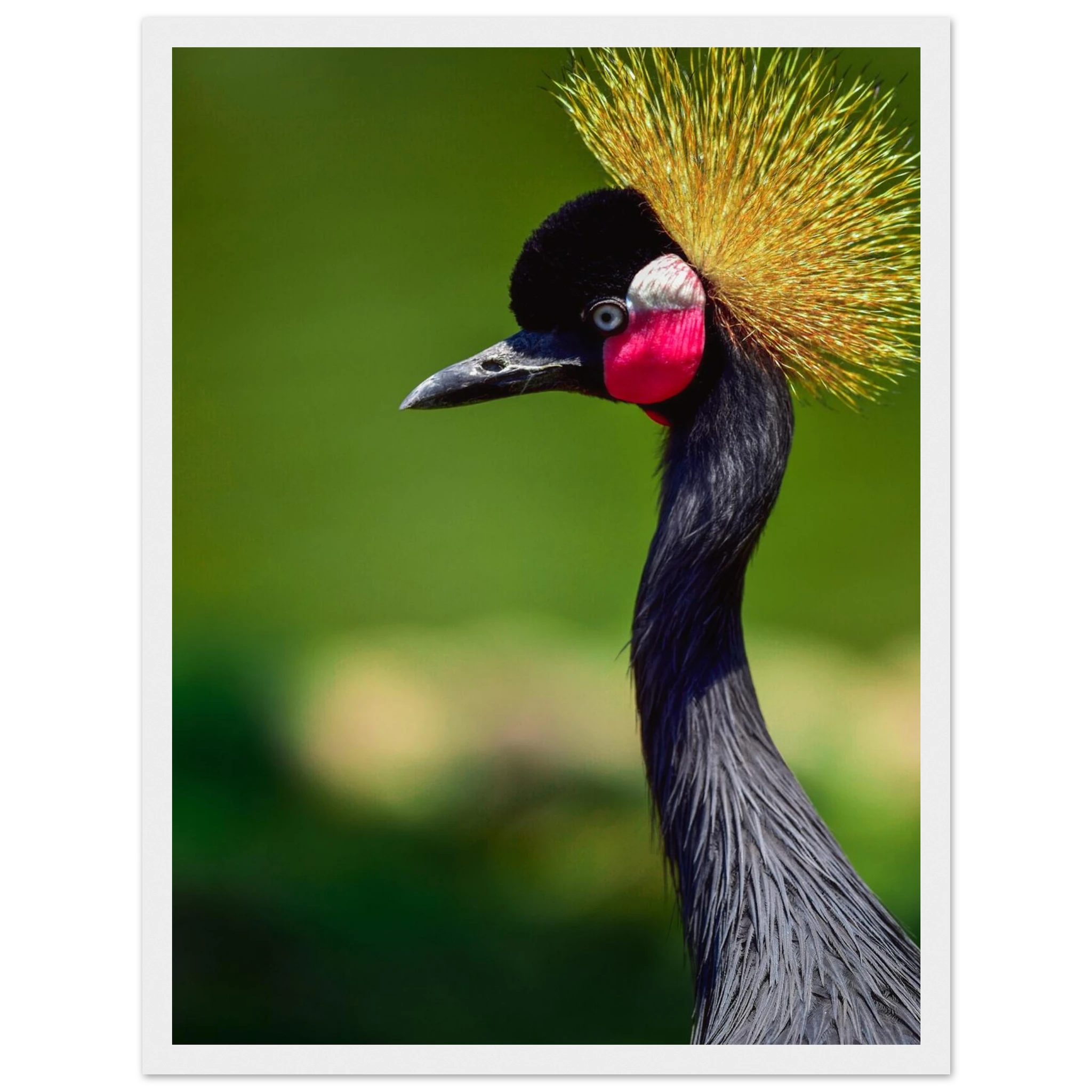 469d18b8-abab-43a2-8b95-f94f396a521d