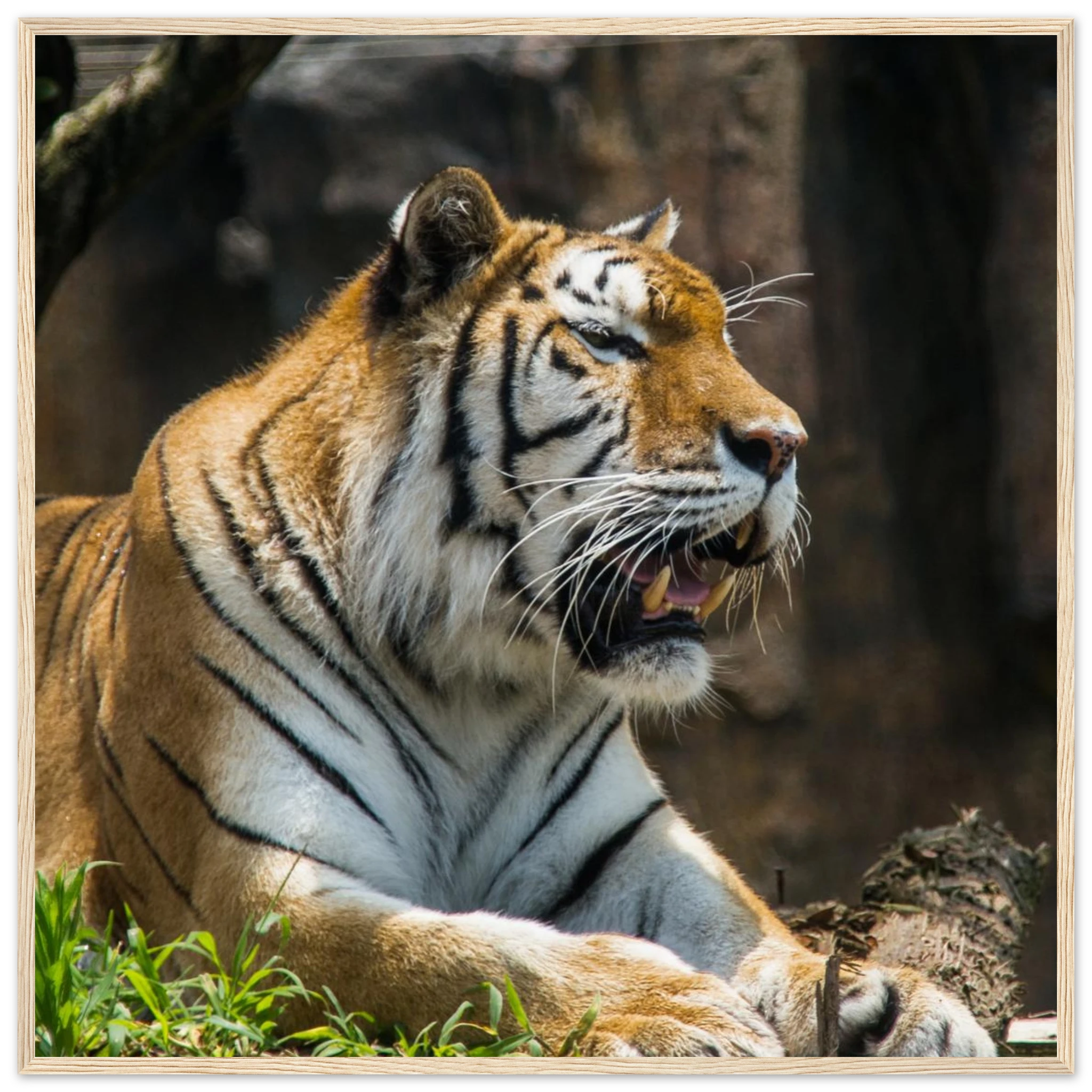 46b256c1-2507-4ec1-b84c-9a7bf66d3e03