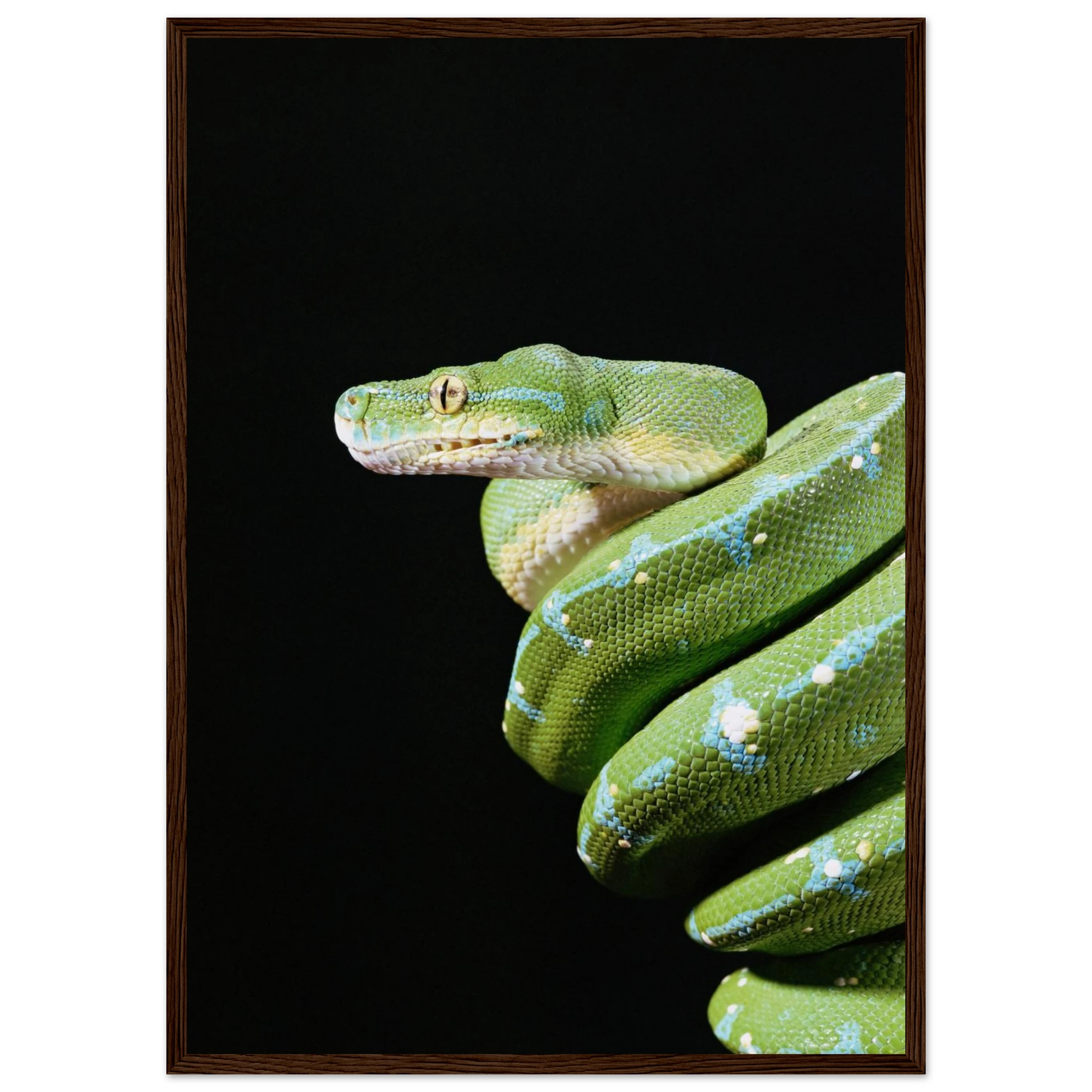 46ba857c-1cfa-4ae2-89f5-6a7bbf30dd18