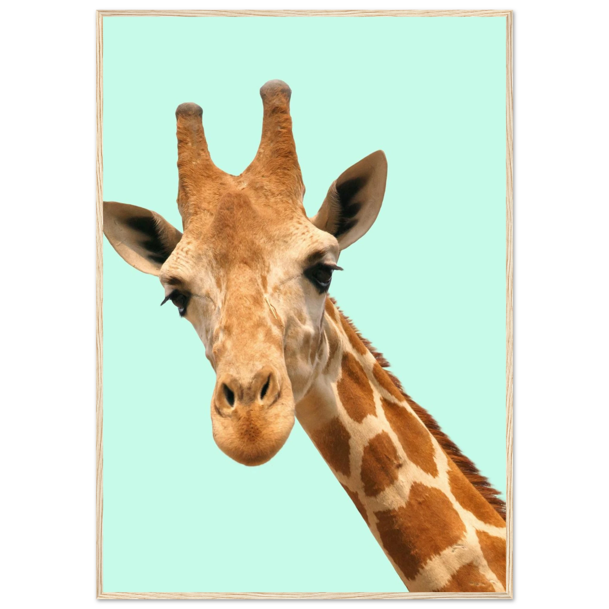 46c29d61-e58b-4ab5-9d74-a92d42040d96