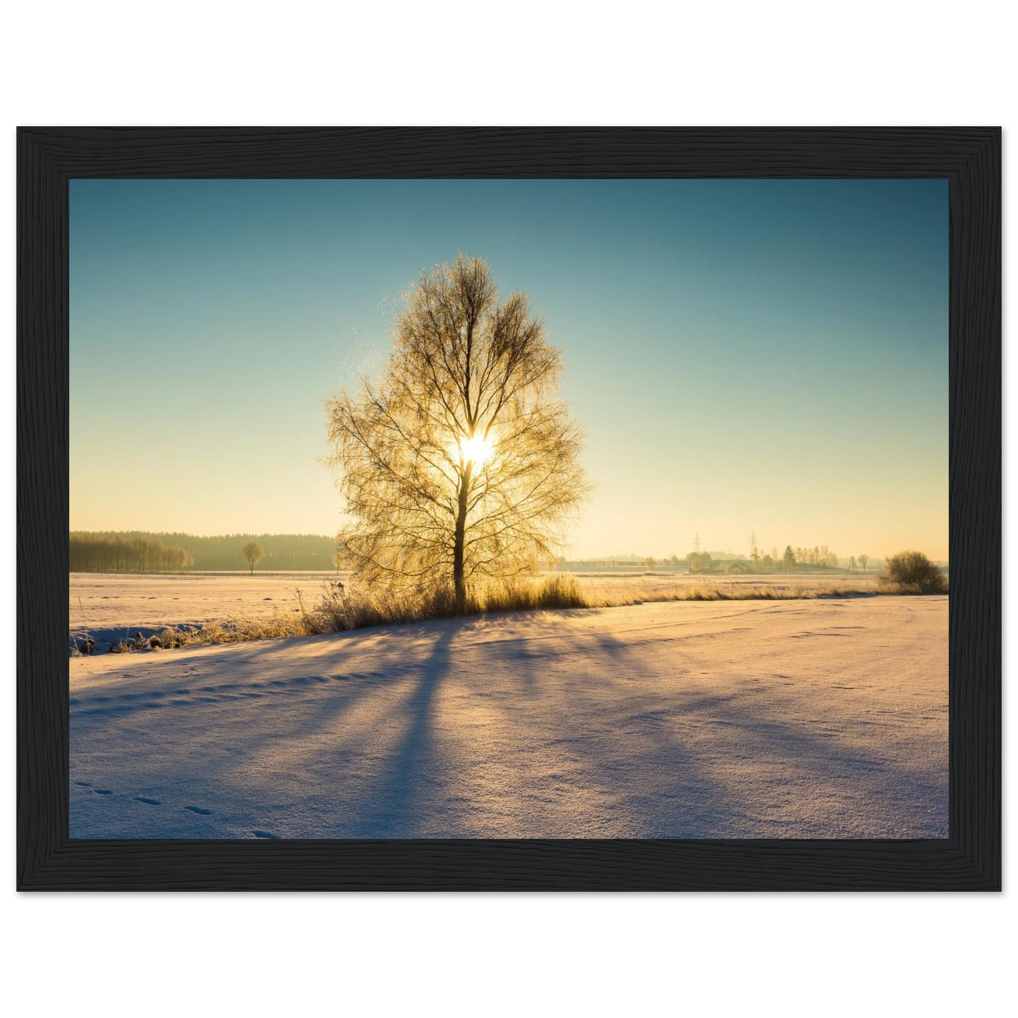 46c8a9de-9388-40fb-93b2-ca105006604b