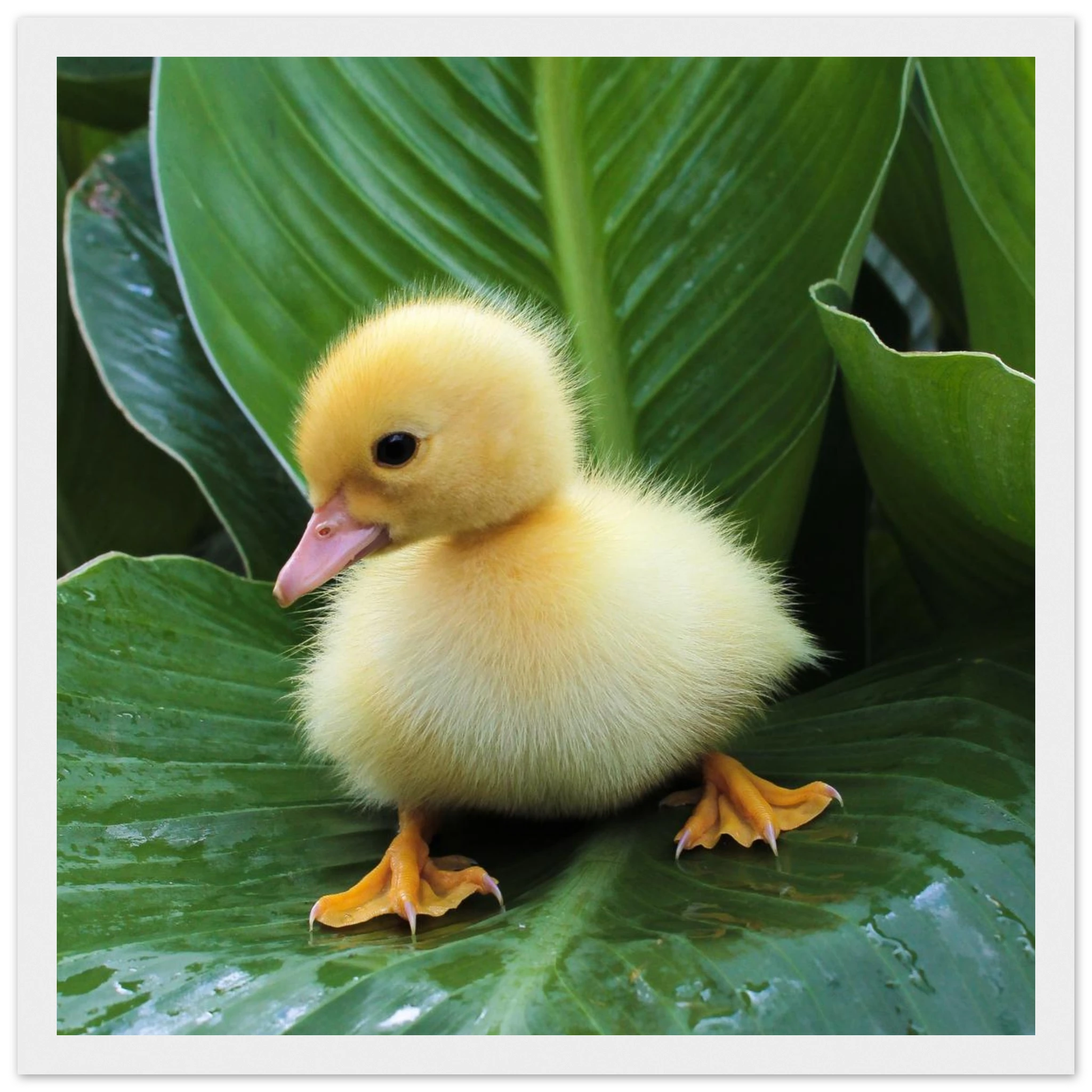 46e13961-fe04-4068-a170-418605dba18b