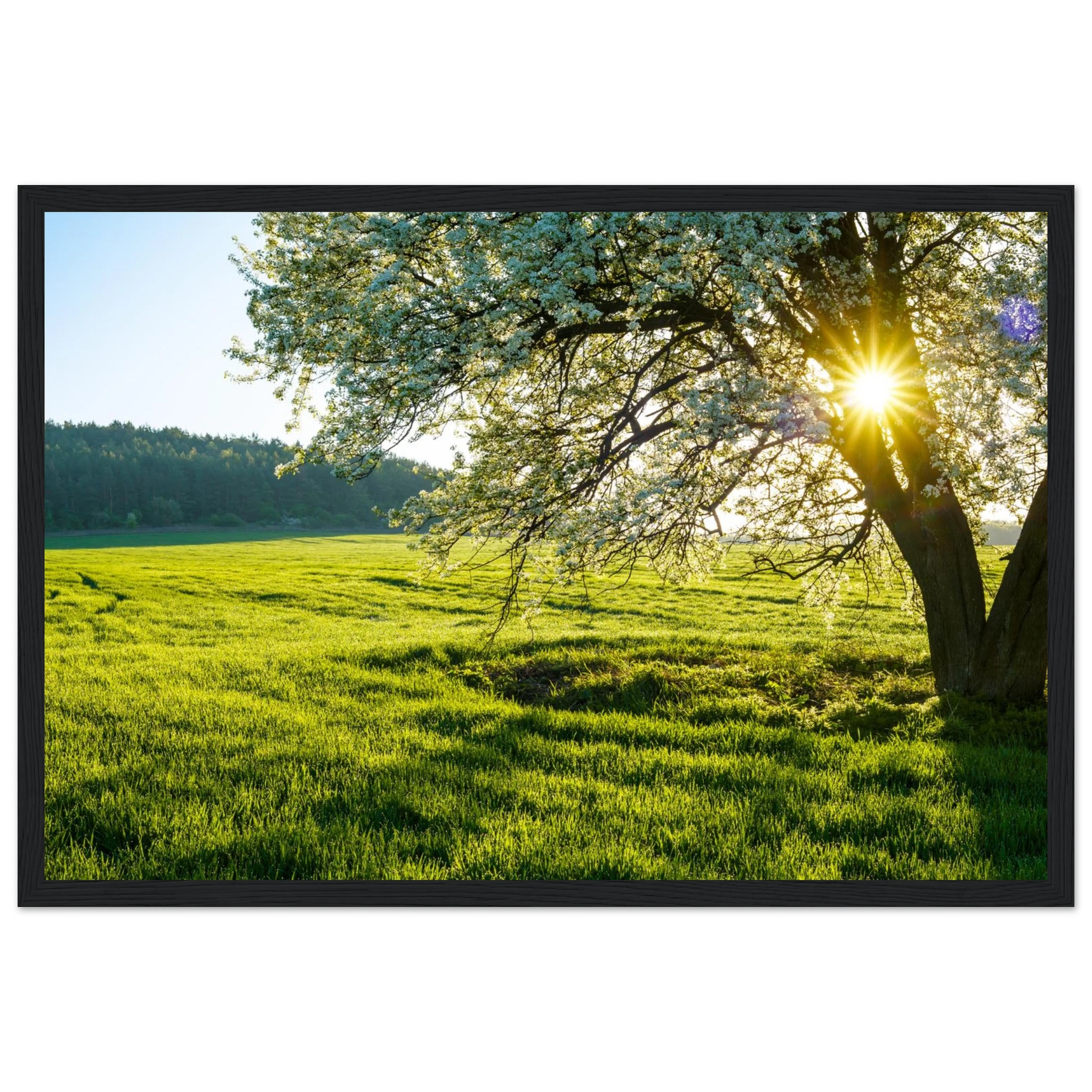 46f6541c-6bc4-4bd8-94ca-276e90b012fa