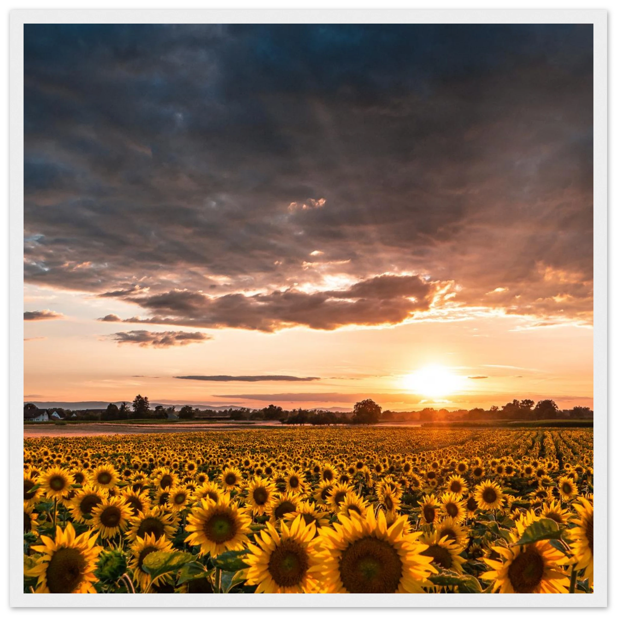 4718bc94-02b1-4e8f-a353-5767abaf3102