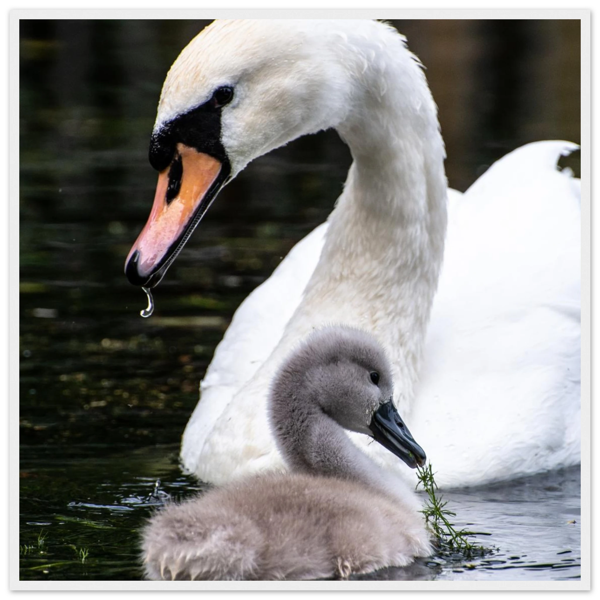 473beeb4-3848-4fce-be3d-486efcfa03eb