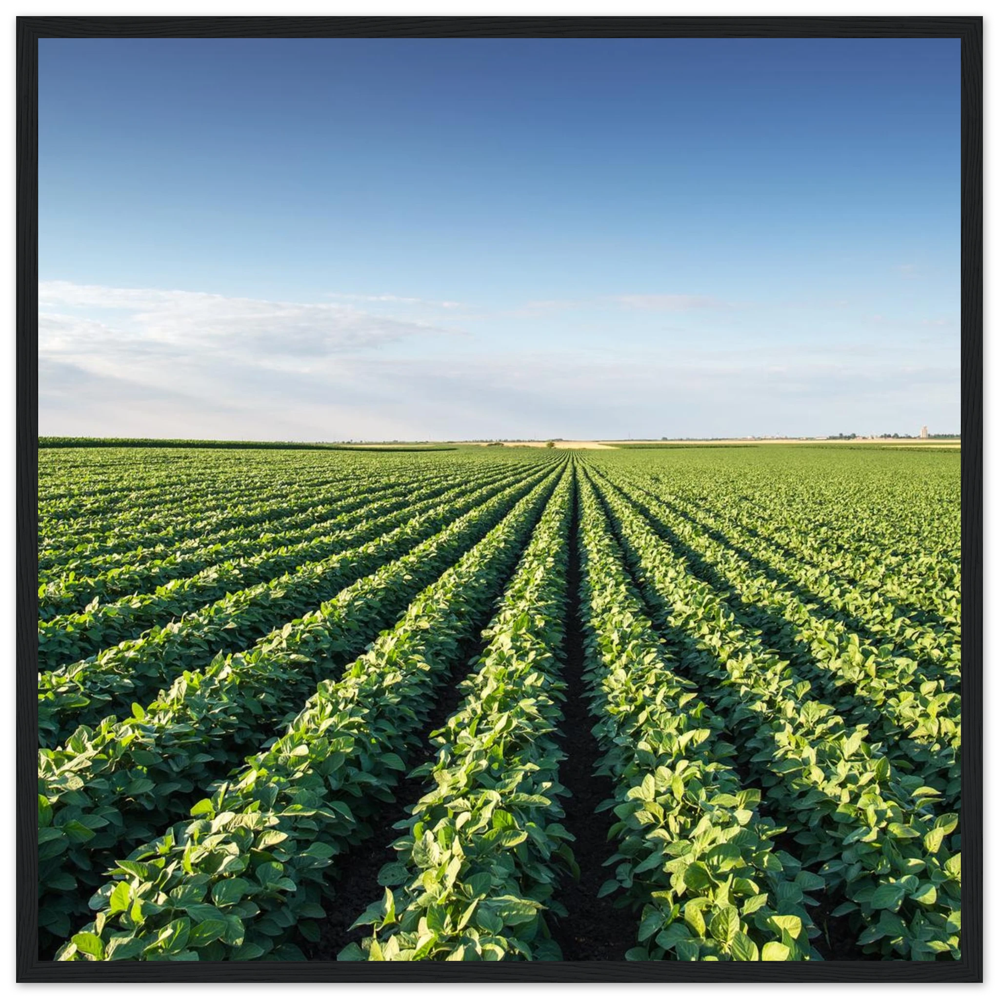 4748b18f-7a61-4d47-b7be-13c56d0b9b03