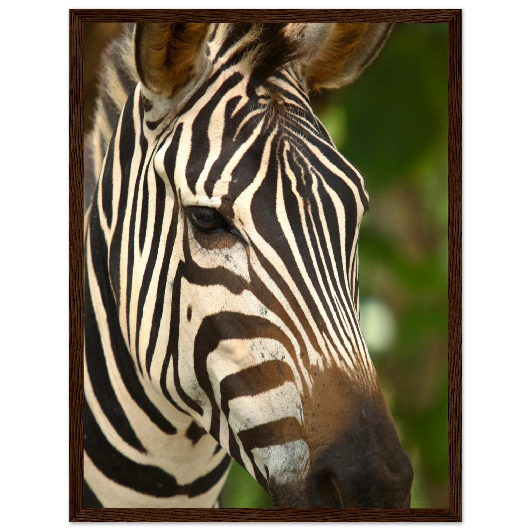 4755c2cd-8f0e-4fd8-8d6c-ff9a3d65487d