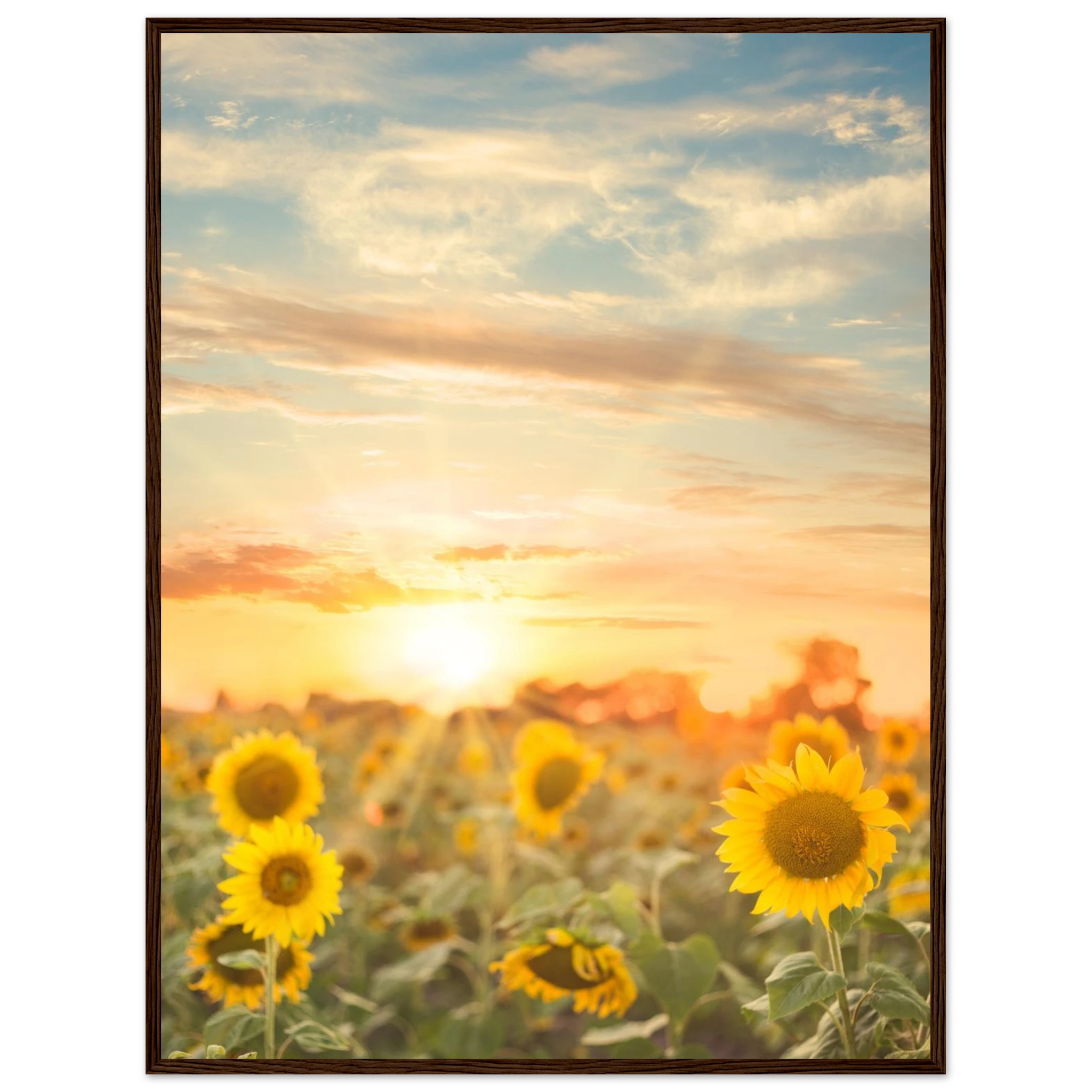 477e154f-51ea-44e7-8dc8-461799018822