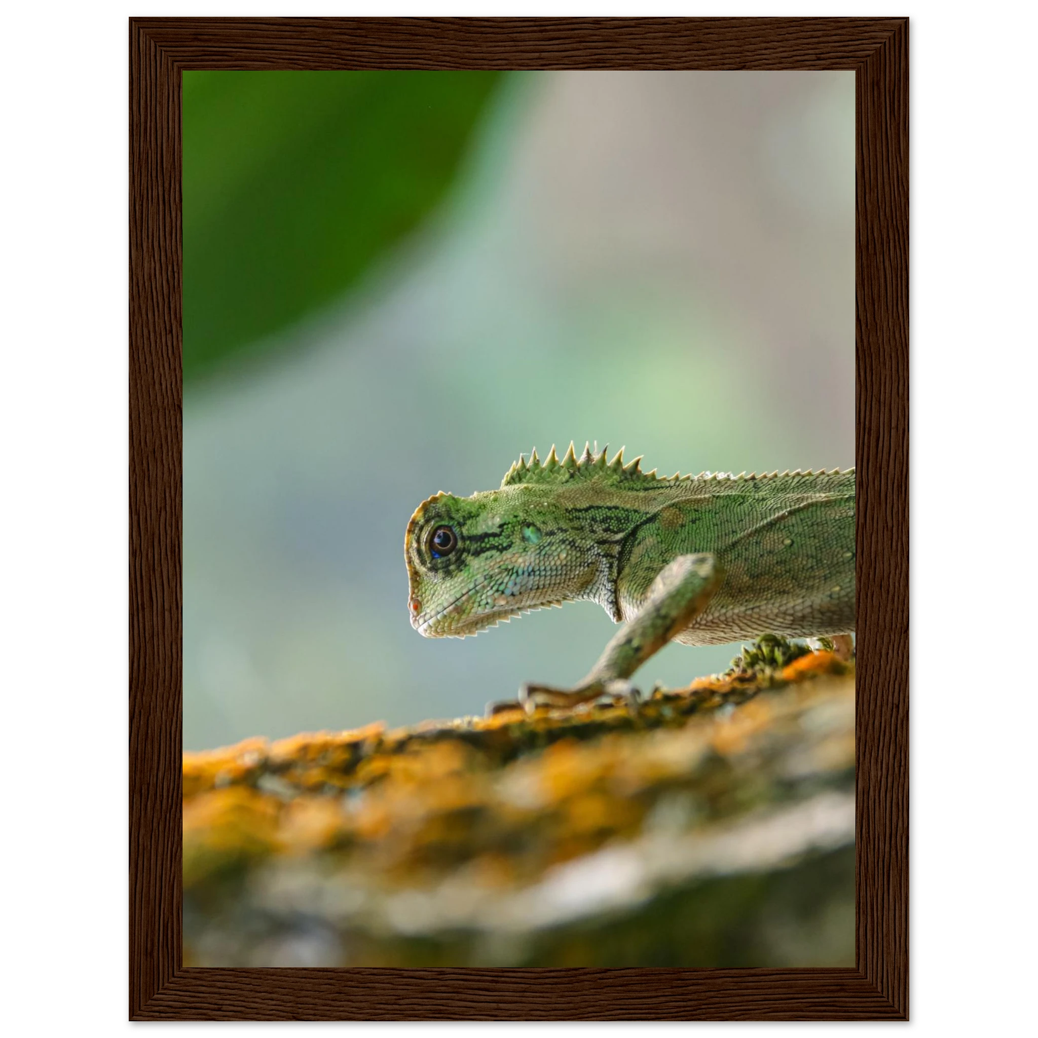 479dd4d8-e5b9-4367-b003-5d16ba73e258