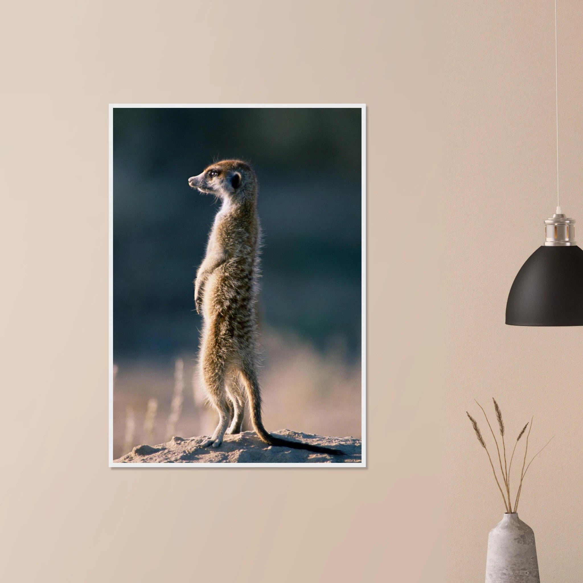 47b106ff-abfb-4952-bb24-8232168dcfdd